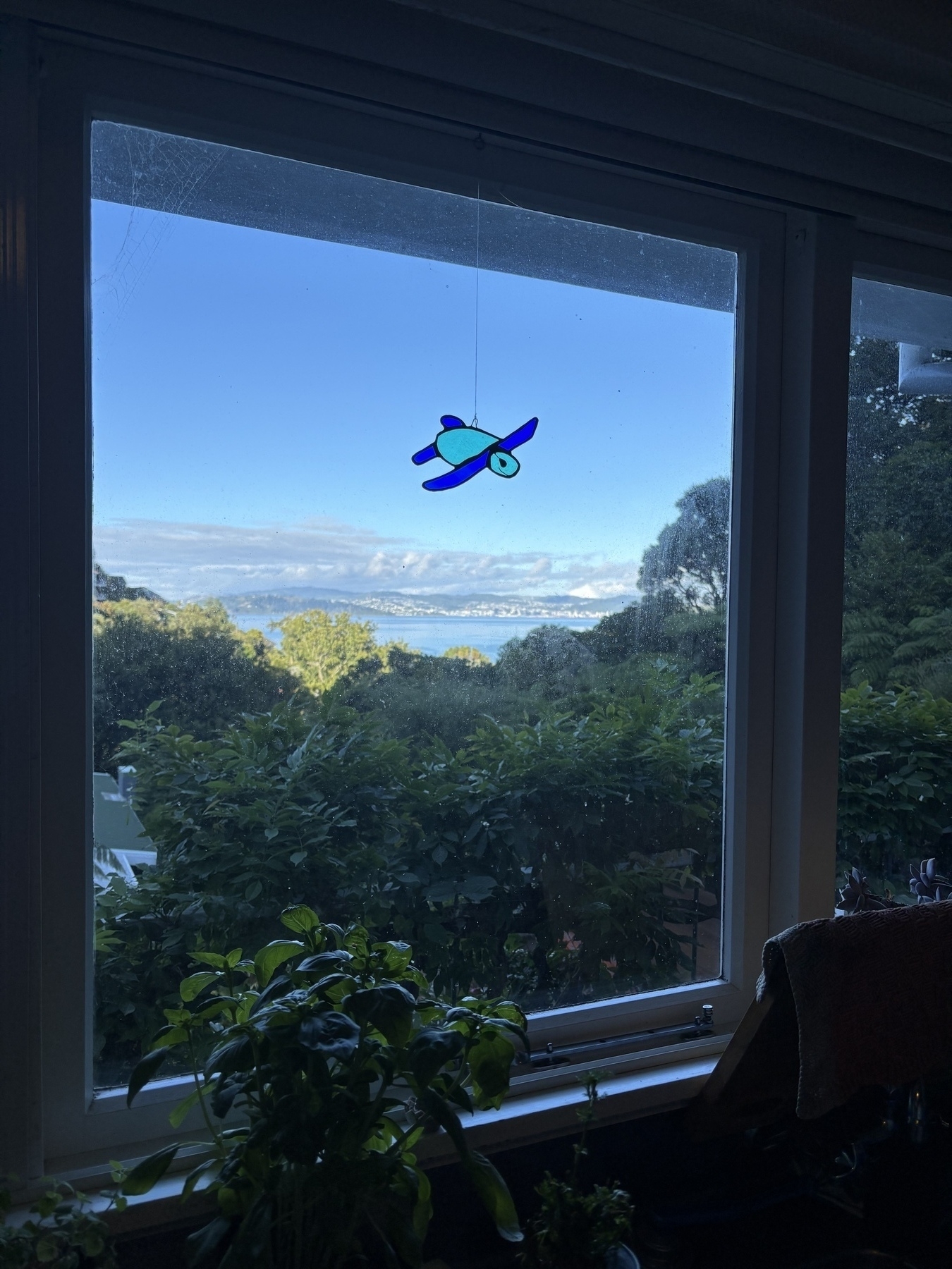 View out the kitchen window (with turtle stained glass) over the Wellington Harbour. It’s sunny, but for how much longer?