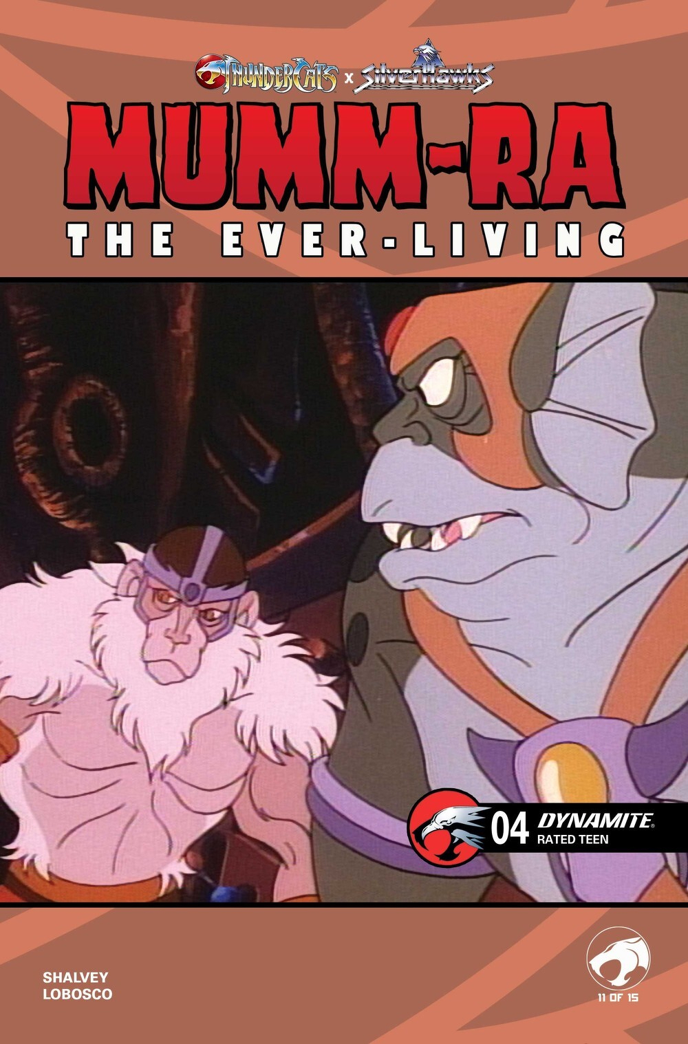 Mumm-Ra The Ever-Living #4 (Cover E Animation Art Variant)(find on eBay)