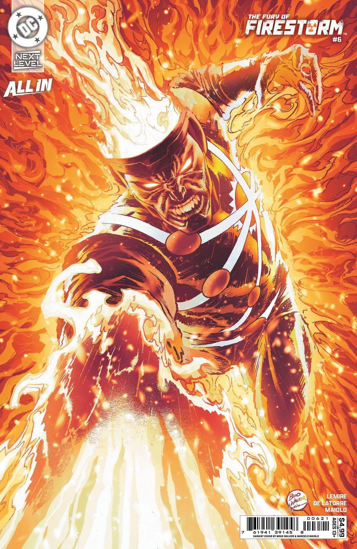 Fury Of Firestorm #6 (Of 8)(Cover B Brad Walker & Marcelo Maiolo Card Stock Variant)