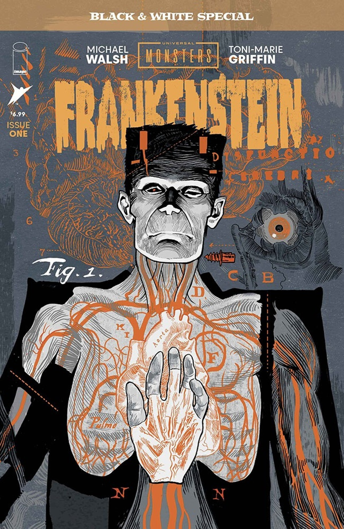 Universal Monsters Frankenstein Black And White Special #1 (Of 2)(Cover A Michael Walsh)