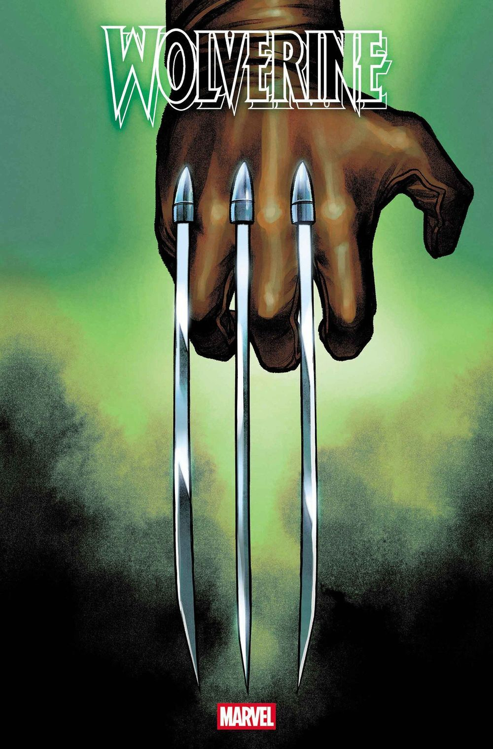Wolverine #22 (Cover F Martin Coccolo Hidden Variant)