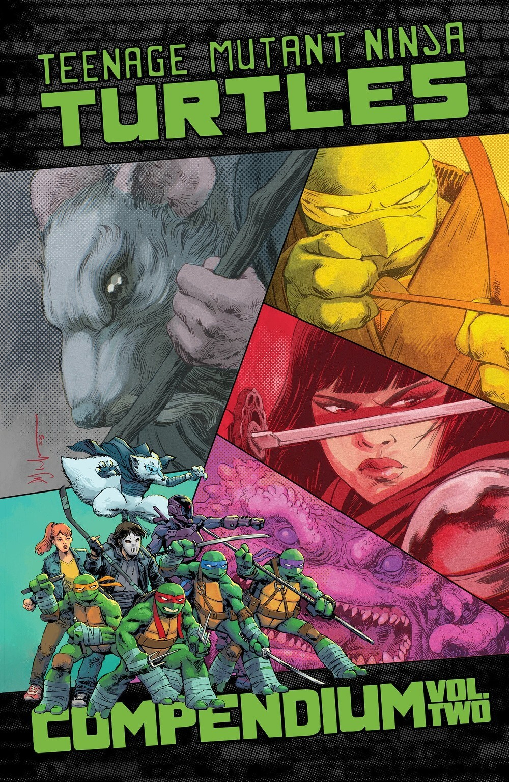 Teenage Mutant Ninja Turtles Ongoing Compendium Volume 2 TP