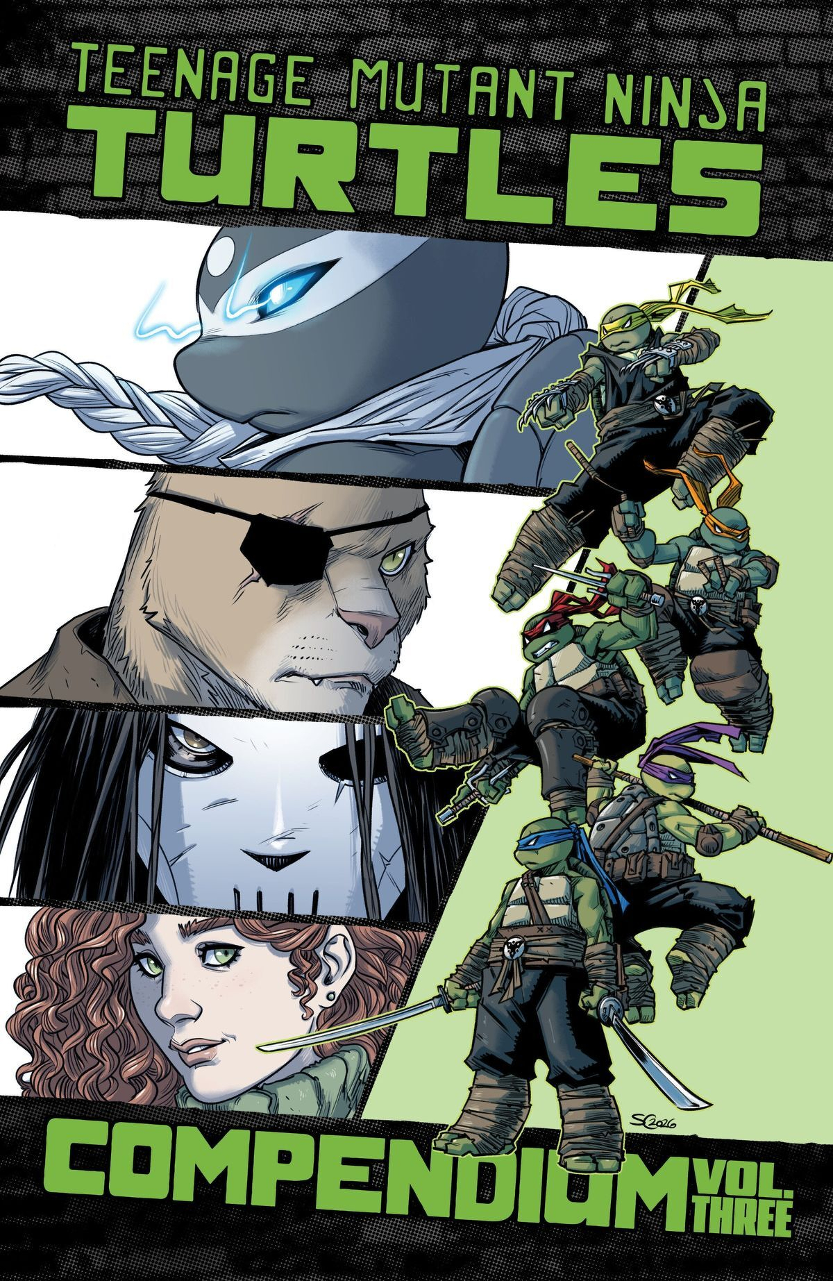 Teenage Mutant Ninja Turtles Ongoing Compendium Volume 3 TP