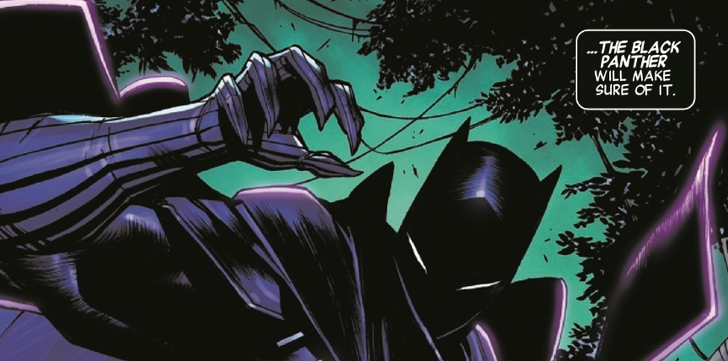 ComicList.Info Previews - BLACK PANTHER/NAMOR: DOOMED #1 (OF 5)