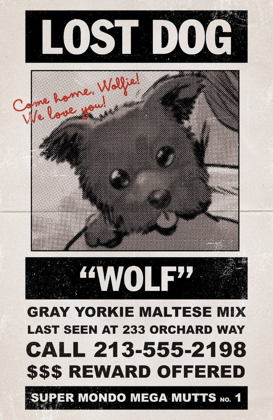A Lost Dog poster features a gray Yorkie Maltese mix named Wolf, with contact details and a reward offer for finding it.