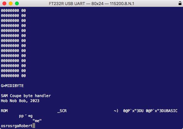 Screen Shot of serial terminal showing raw data bytes