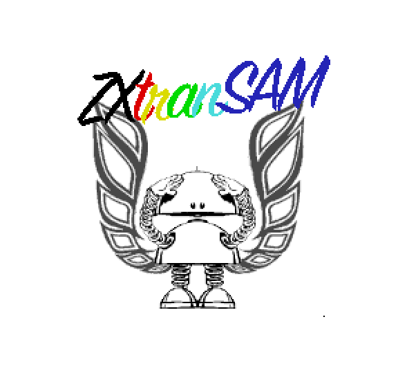 ZXtranSAM. TransAM, gettit? Robot SAM emblazoned with firebird wings and posing for lift off.