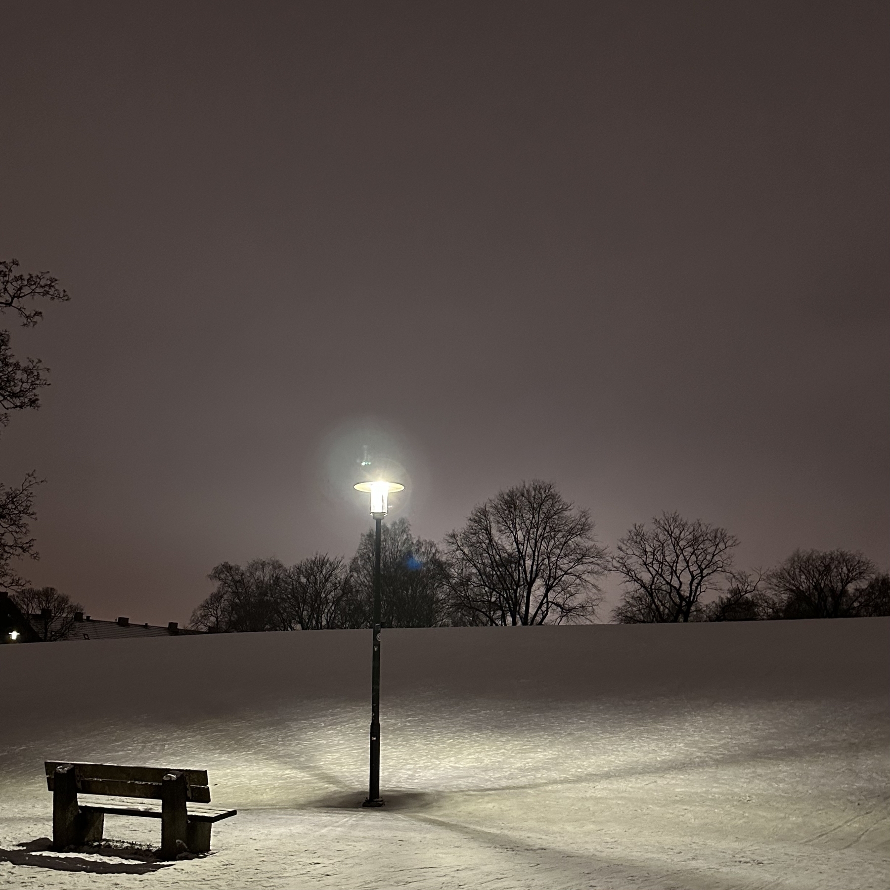 En benk i kveldsmørket under gatelys og snødekt bakke