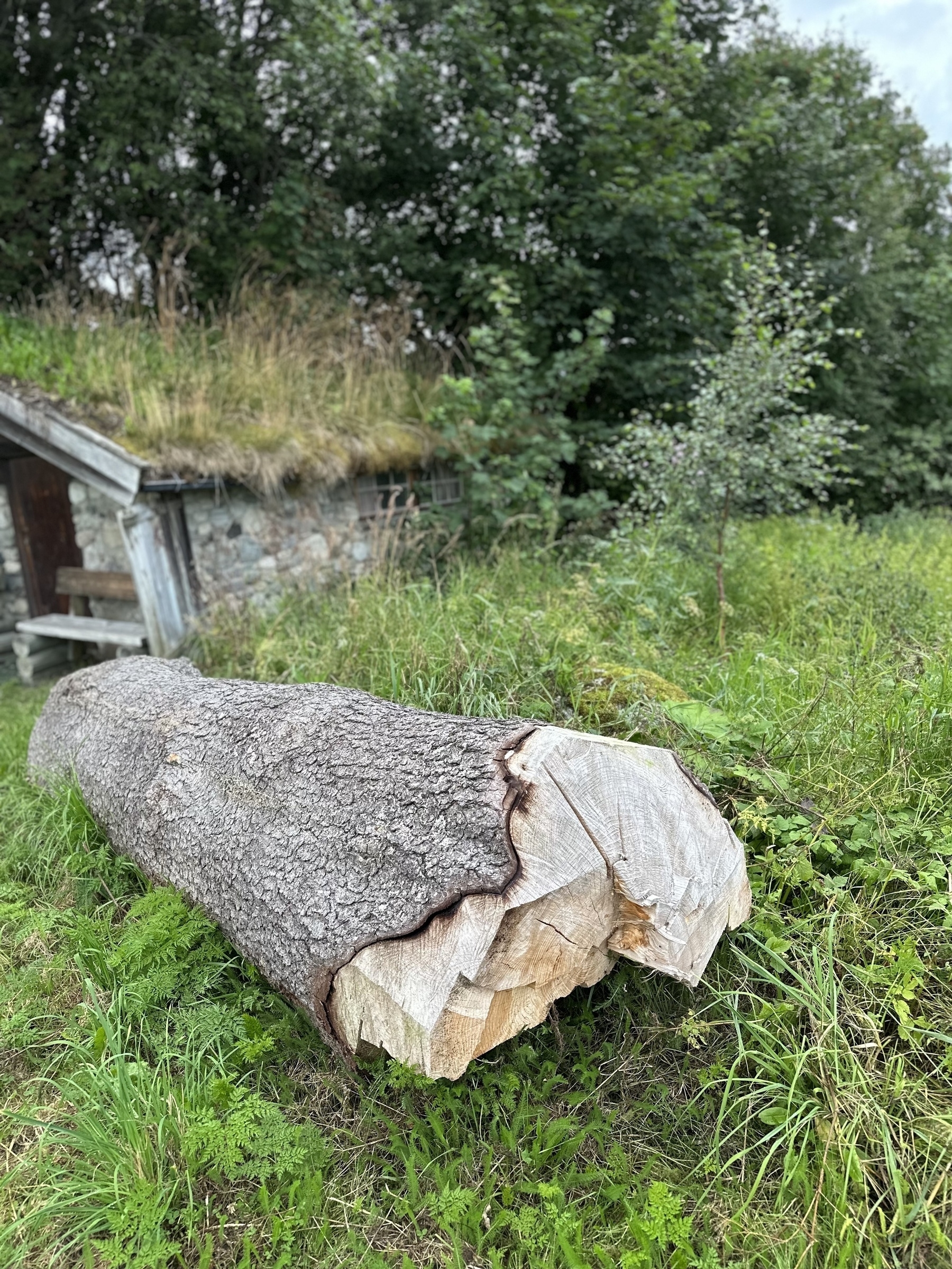 Tømmerstokk foran ei steinhytte