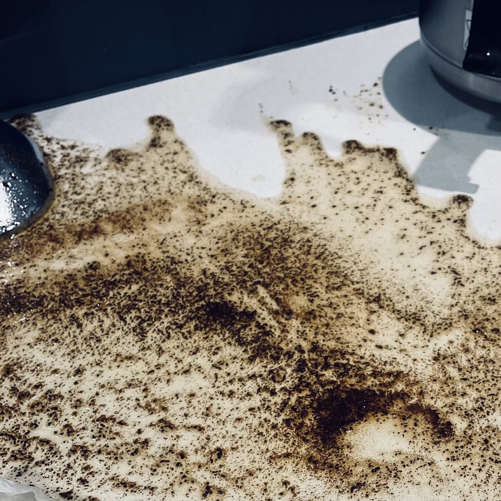 The result of an inverted aeropress topple over. What a mess. 
