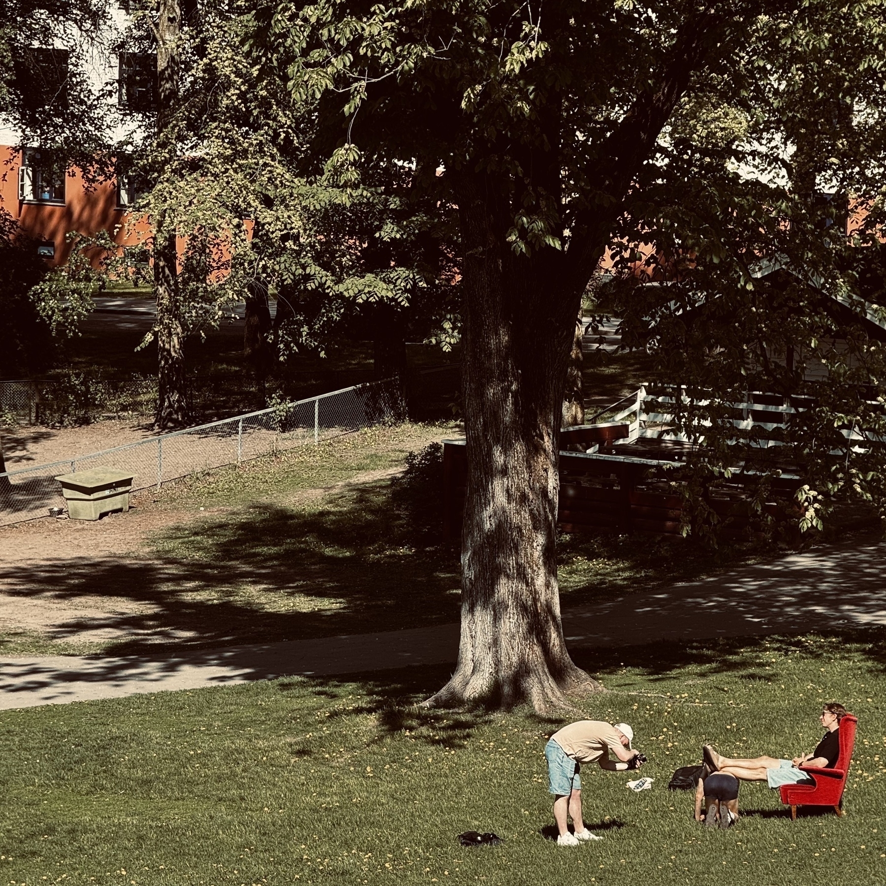 A person in a red chair relaxes under a tree while another person interacts with a small dog on a grassy lawn. (Close enough, the «dog» is a person being a foot stool for the person in the chair. The another person is a photographer). 