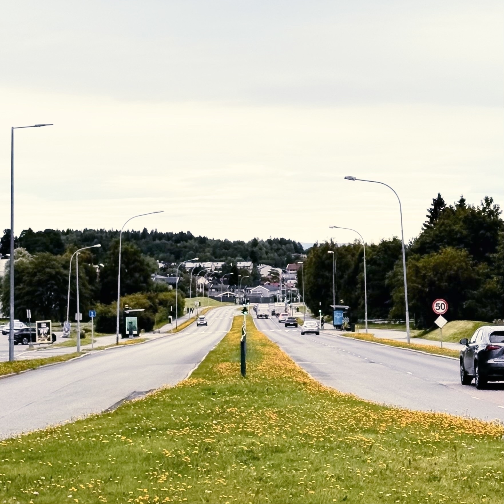 A divided roadway extends into the distance, flanked by grassy areas and bordered by trees and streetlights.