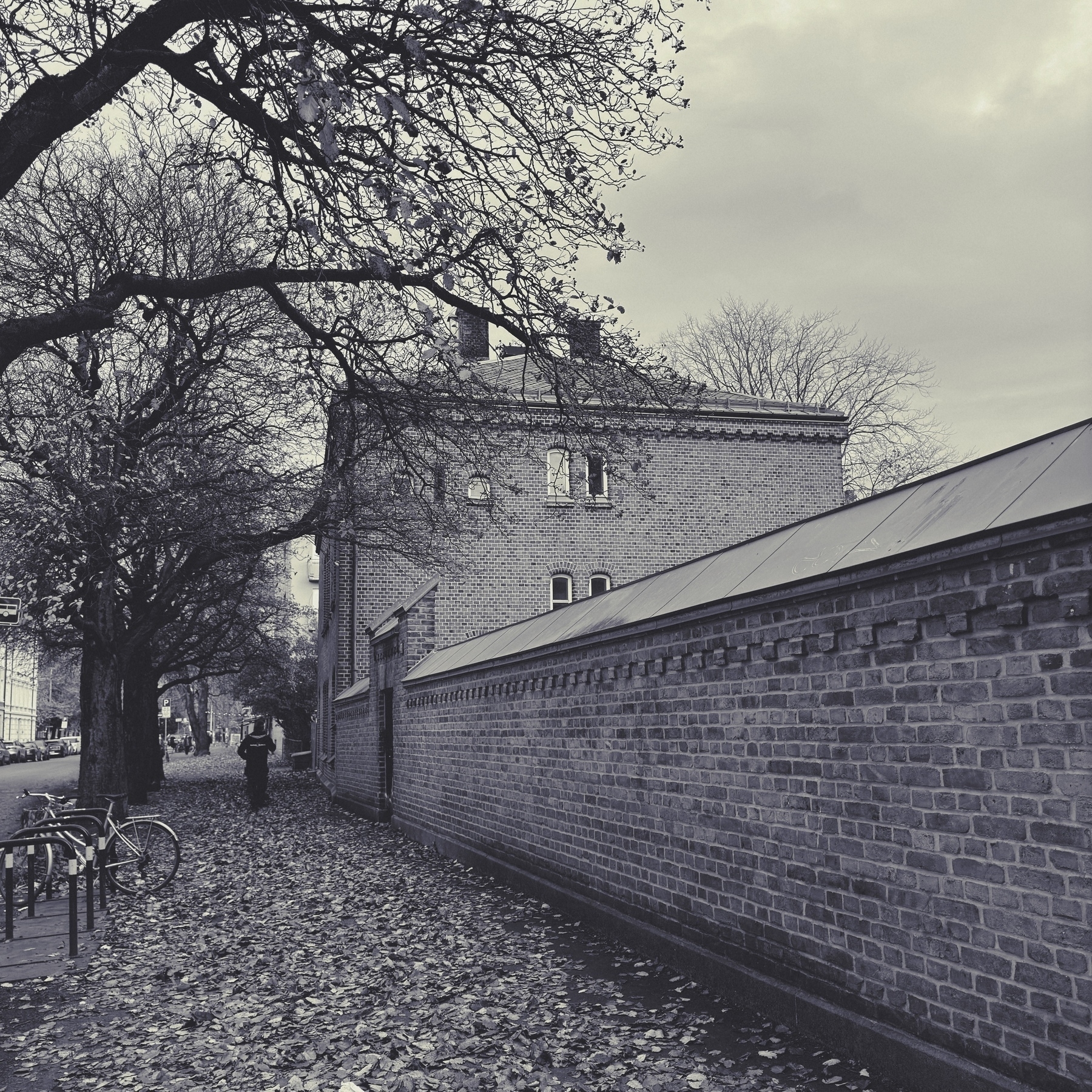 A lone man walks down a leaf-strewn path beside a brick building on a cloudy day.