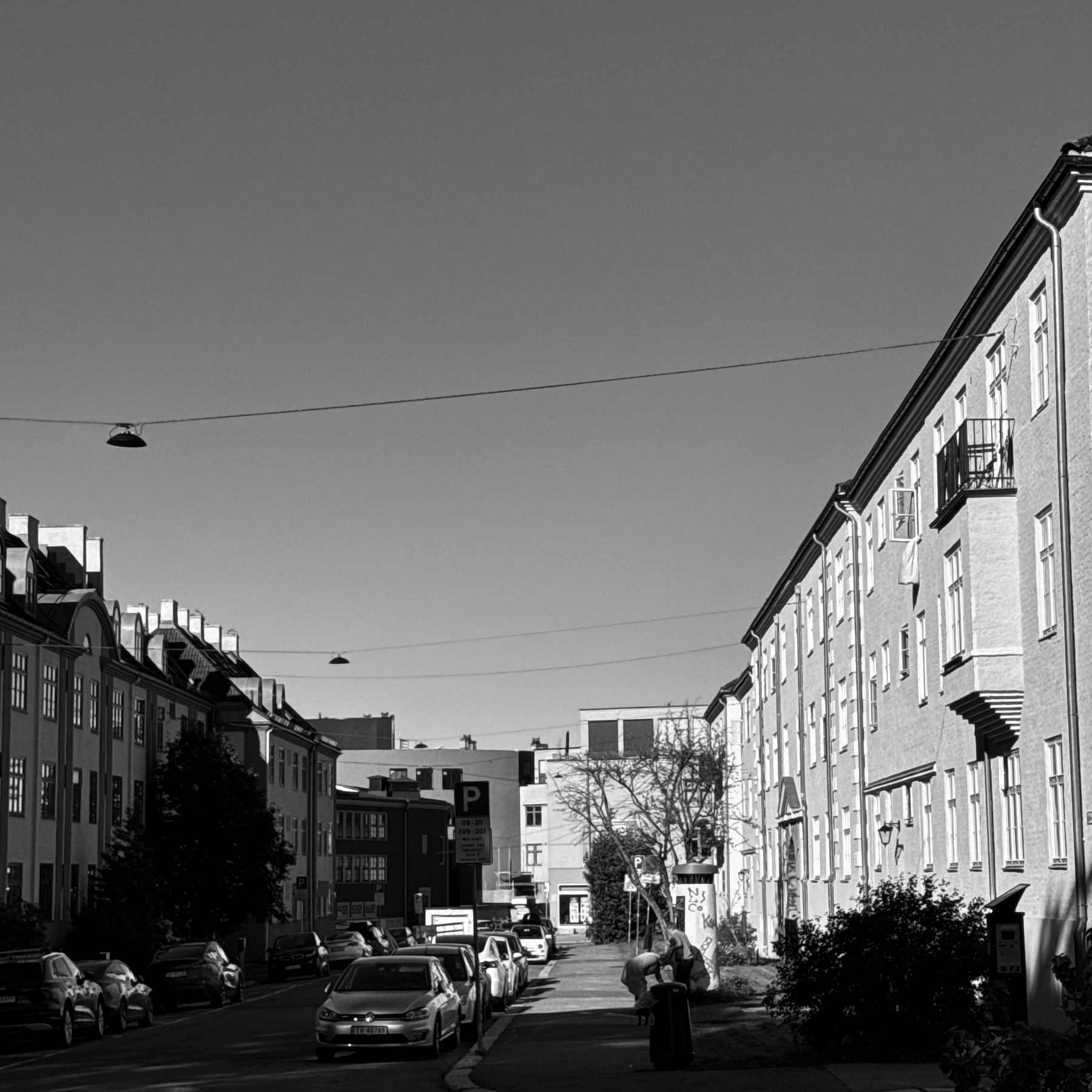 A quiet urban street scene features parked cars, trees, and multi-story buildings under a clear sky.