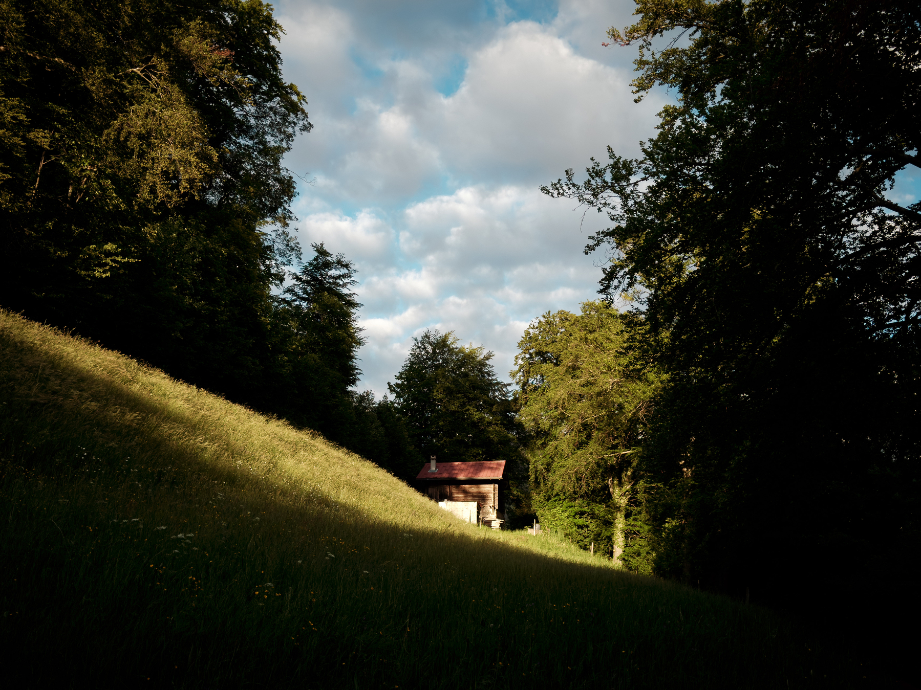 12052026-IMG_3066.jpg