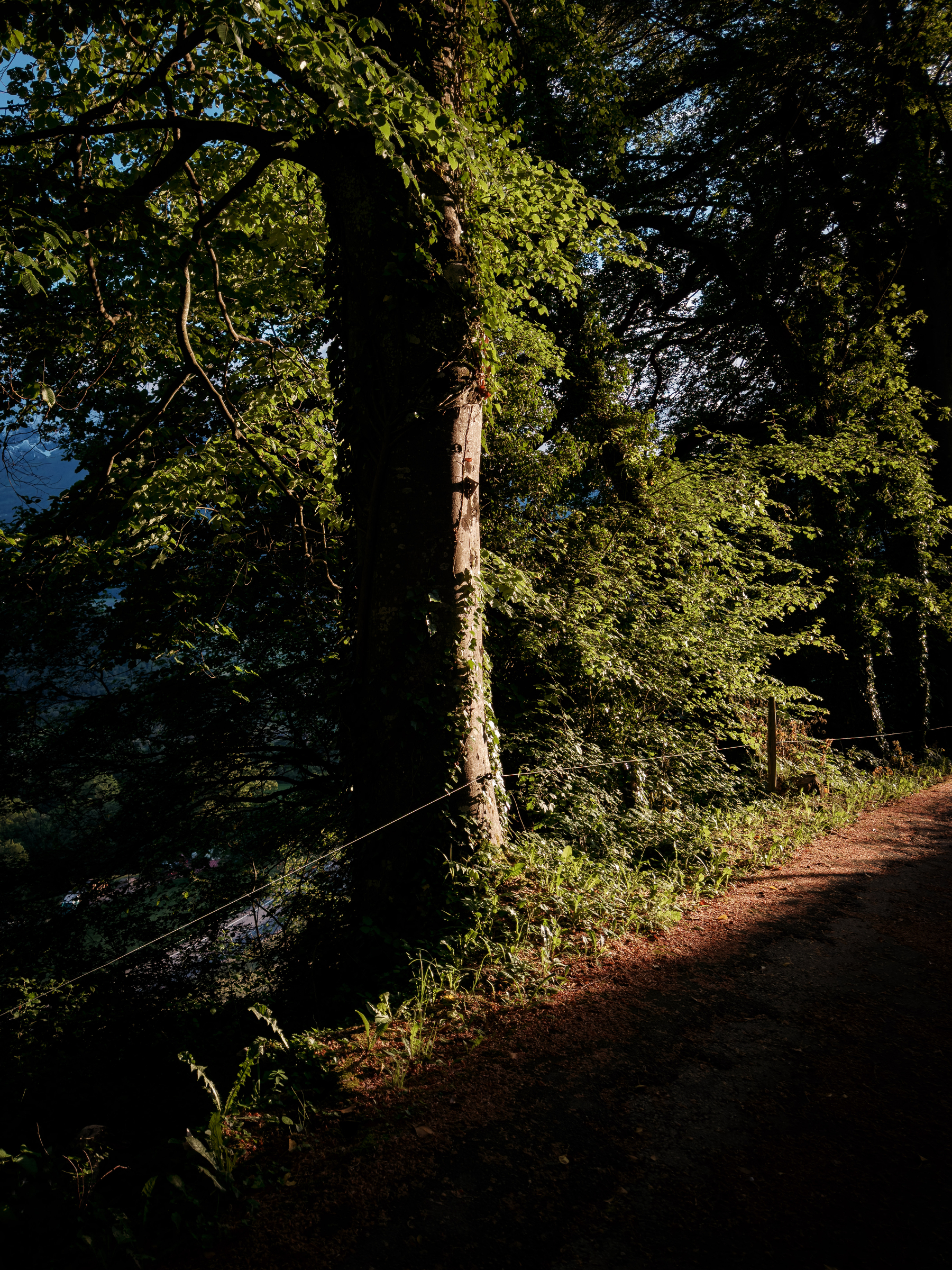 12052026-IMG_3077.jpg
