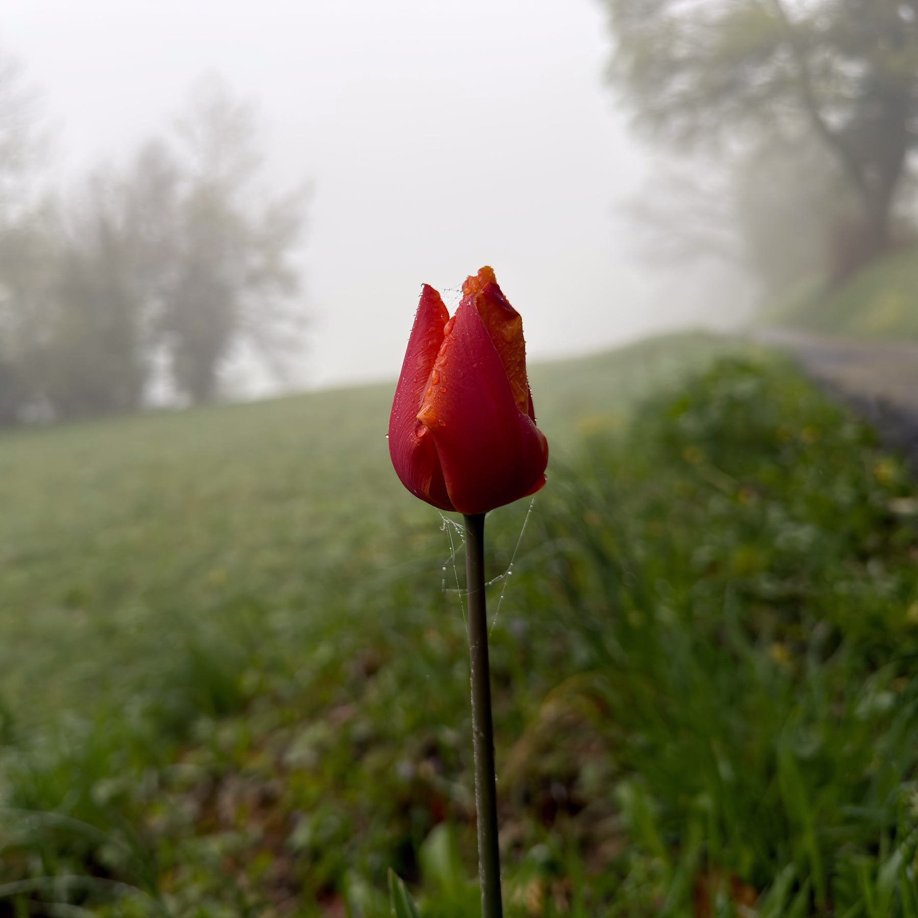 13042026-IMG_2609.jpg