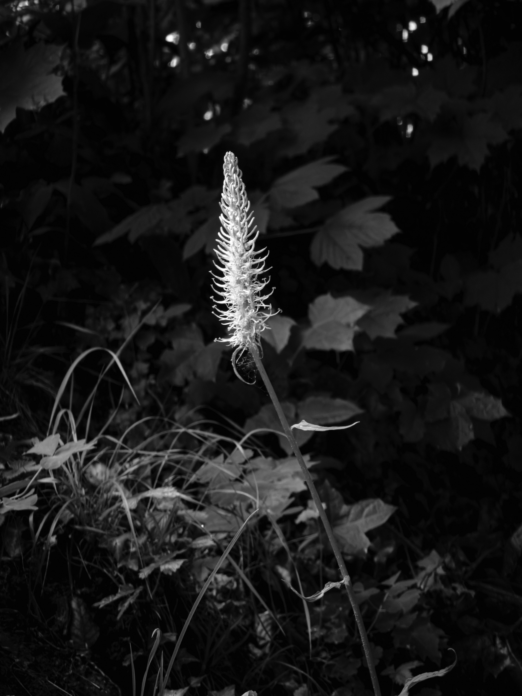 14052026-IMG_3107.jpg