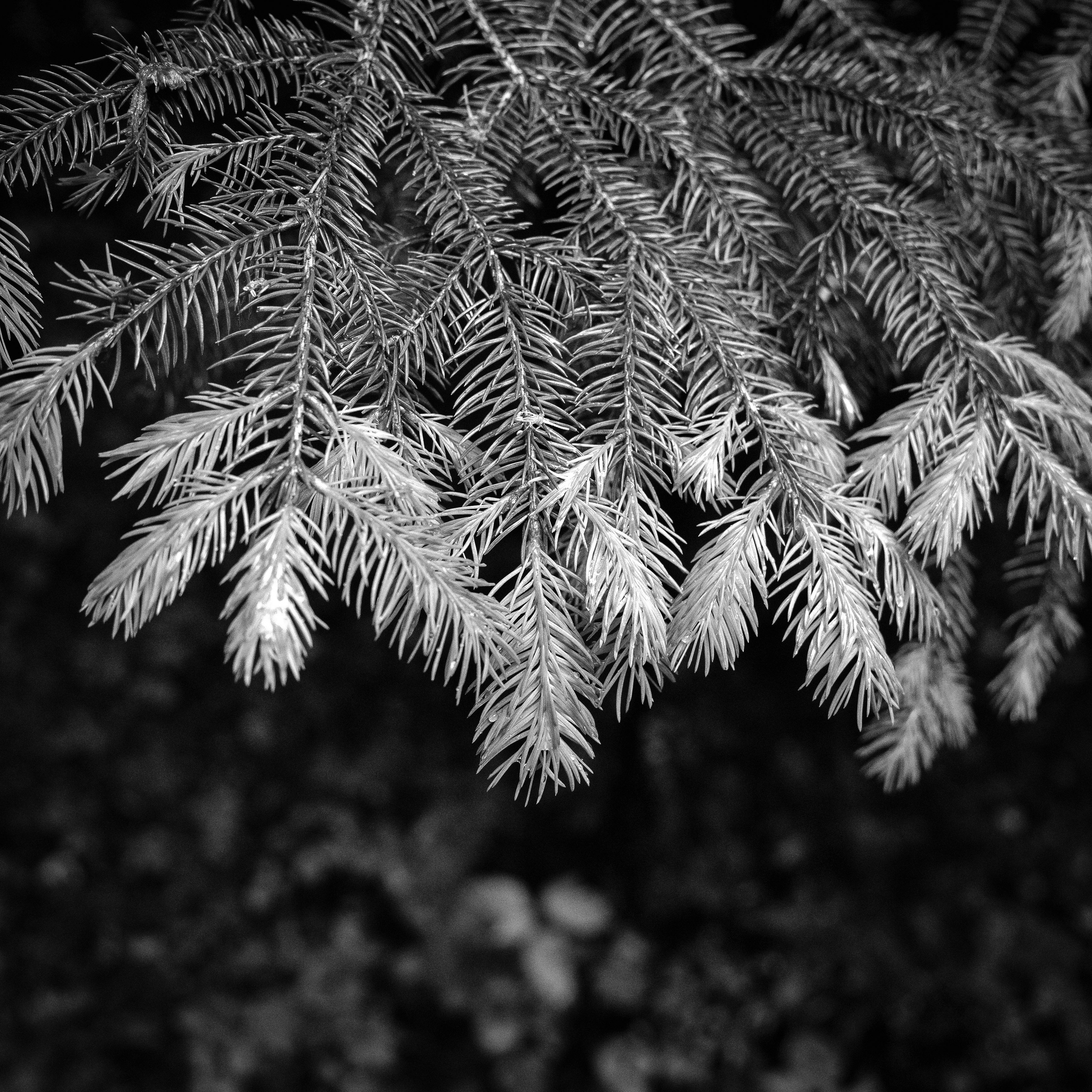 15052026-IMG_9195.jpg