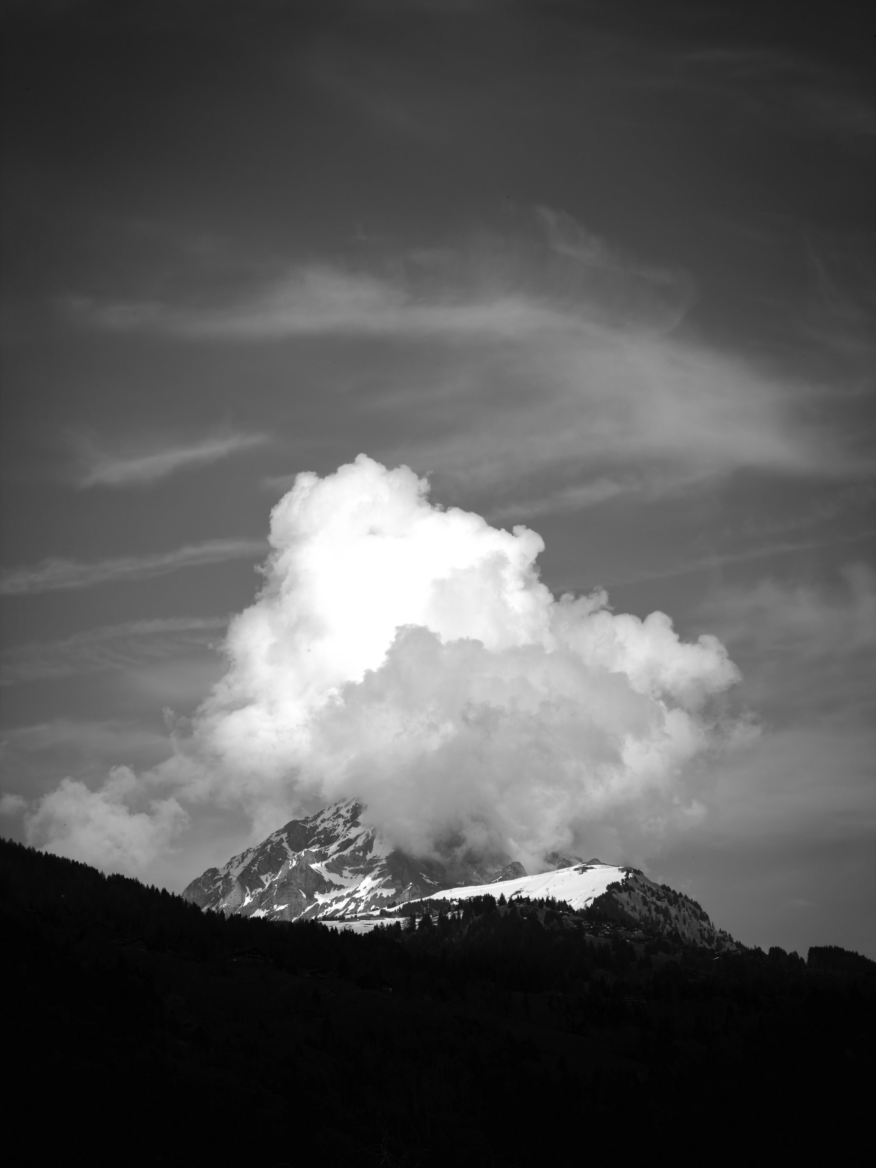 17042026-IMG_2632.jpg