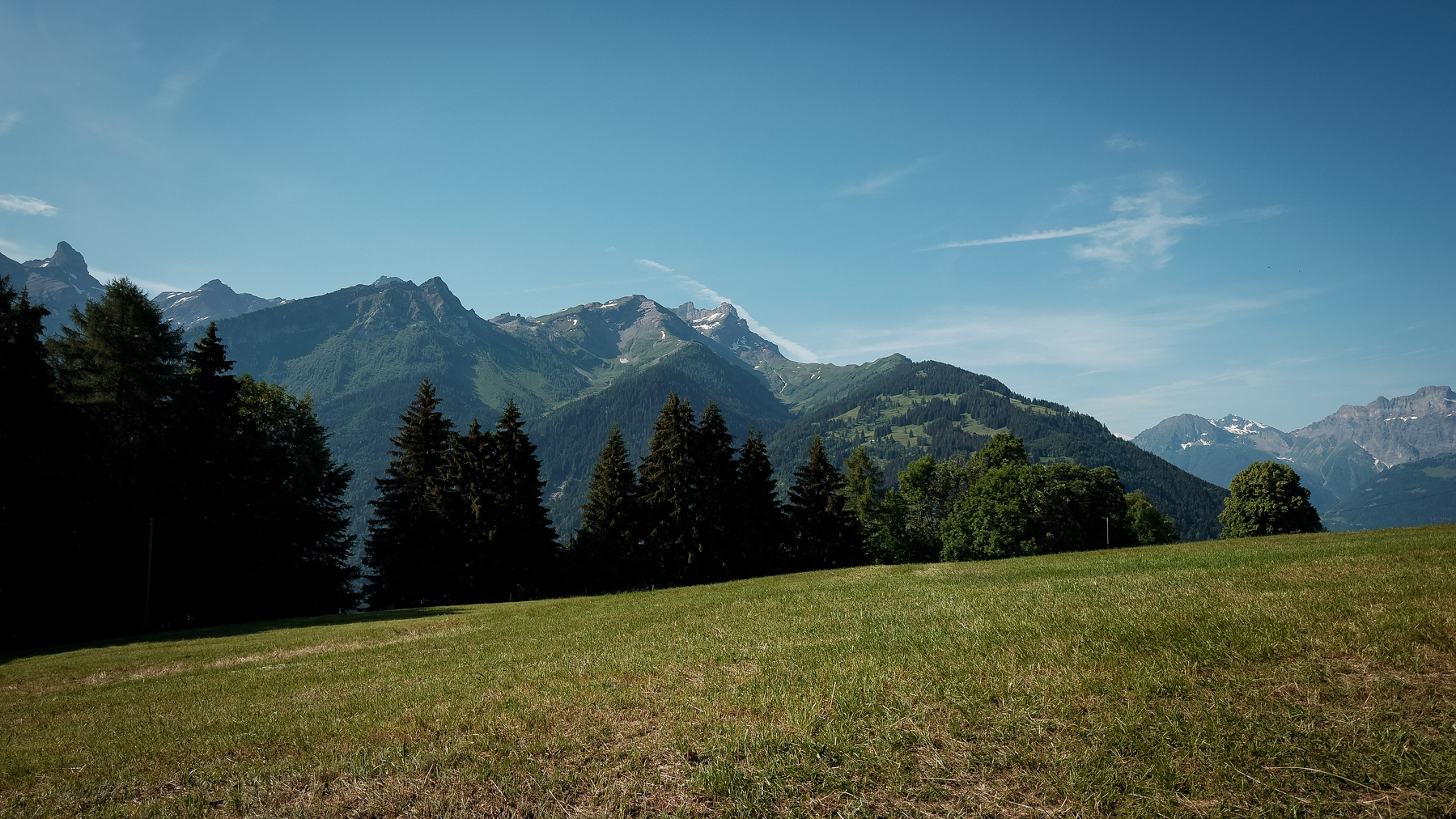 Auto-generated description: Une vaste étendue herbeuse avec des arbres au premier plan et une chaîne de montagnes sous un ciel bleu clair en arrière-plan.