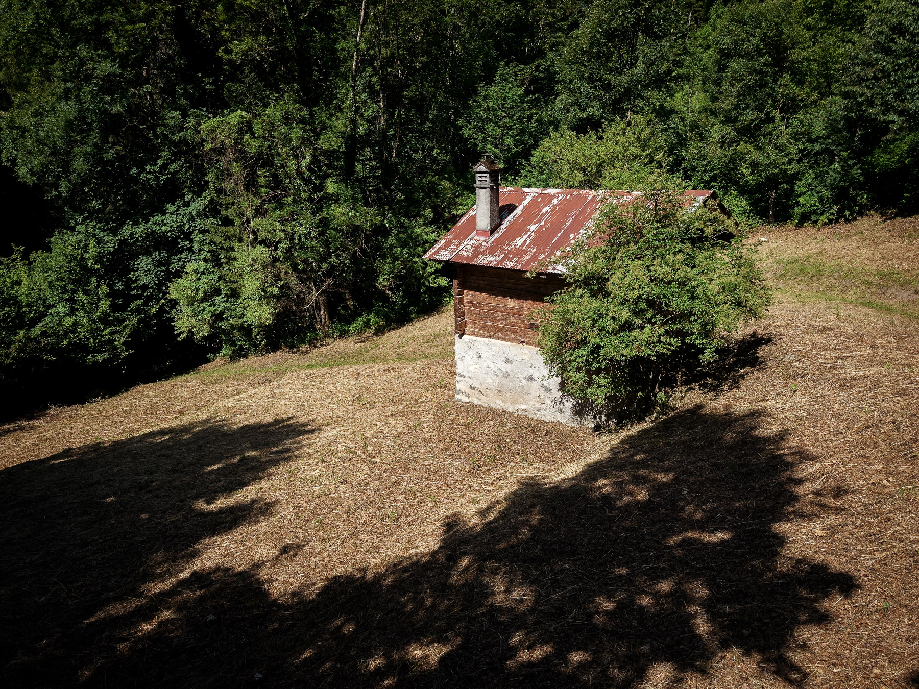 Auto-generated description: Une petite cabane en bois avec un toit rouillé est entourée d'arbres denses dans un champ en pente.