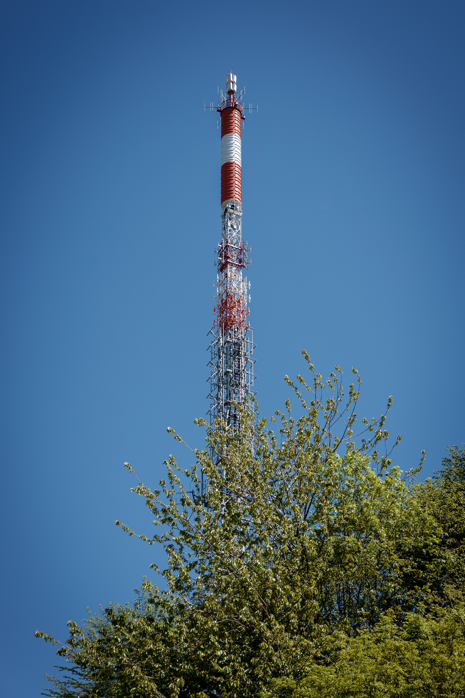 Auto-generated description: Une tour de transmission rouge et blanche s'élève au-dessus des arbres sous un ciel bleu clair.