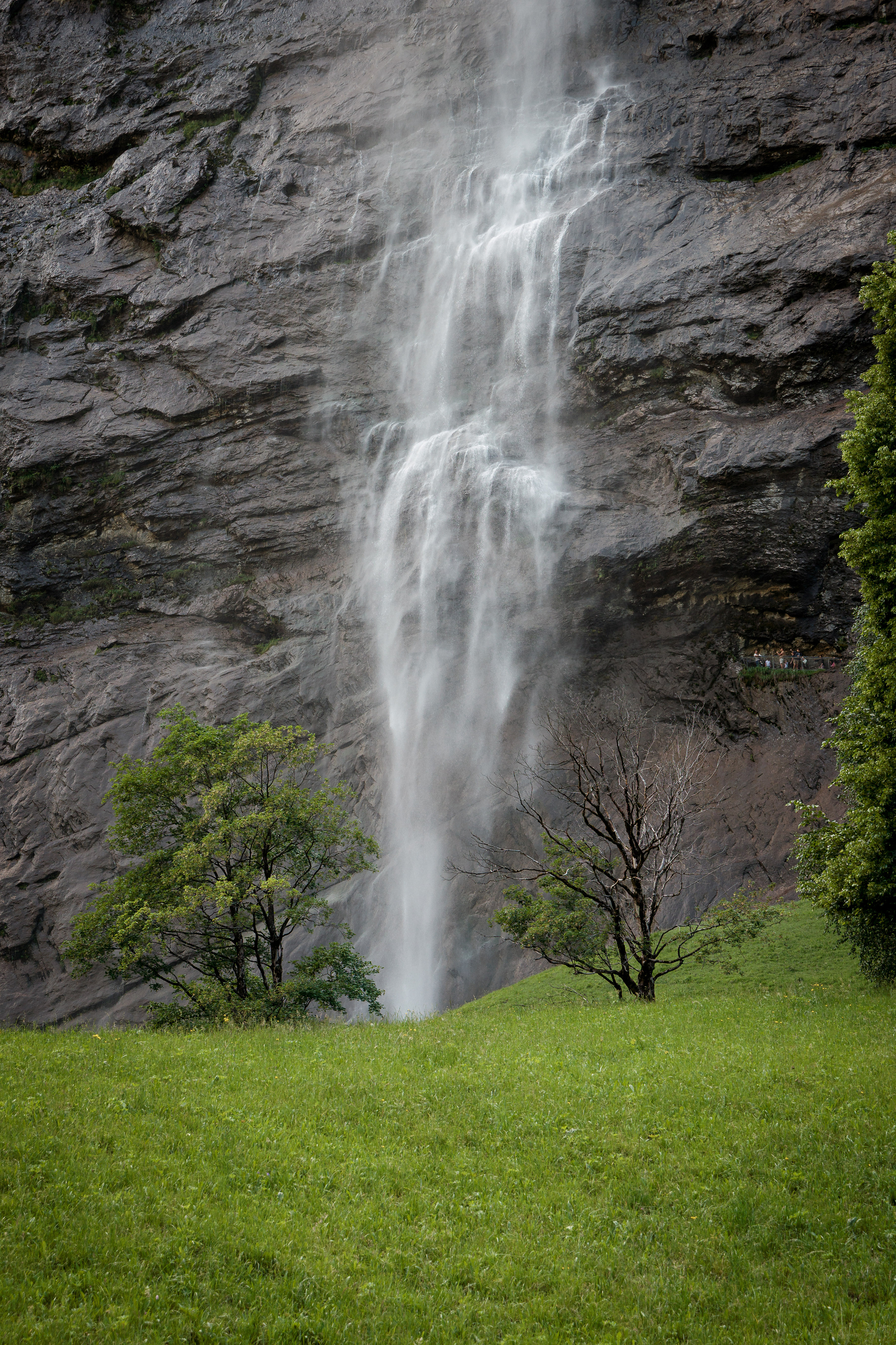 Une cascade déverse son eau sur une paroi rocheuse entourée de végétation.