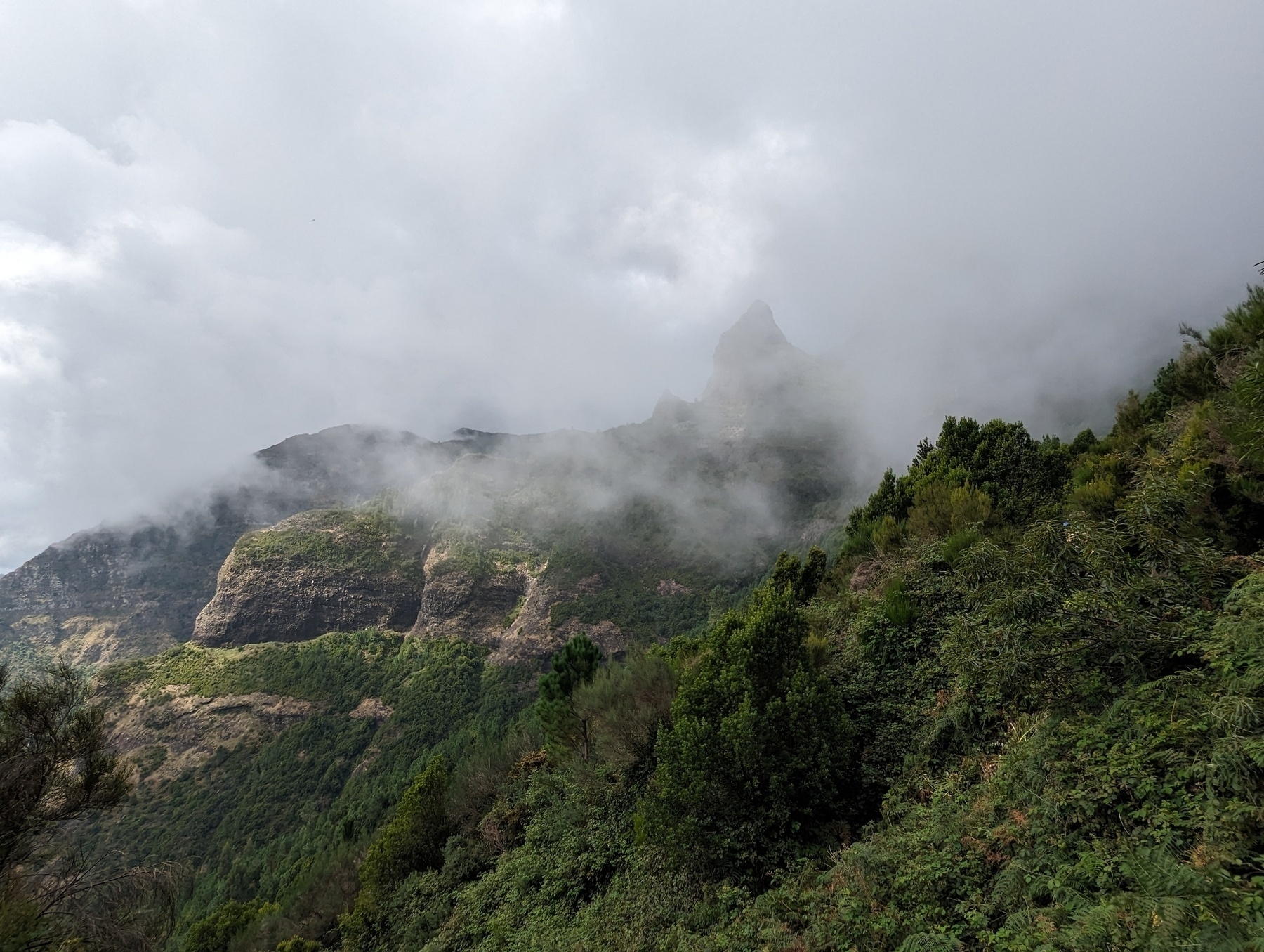 Pico das Furnas, Madeira
