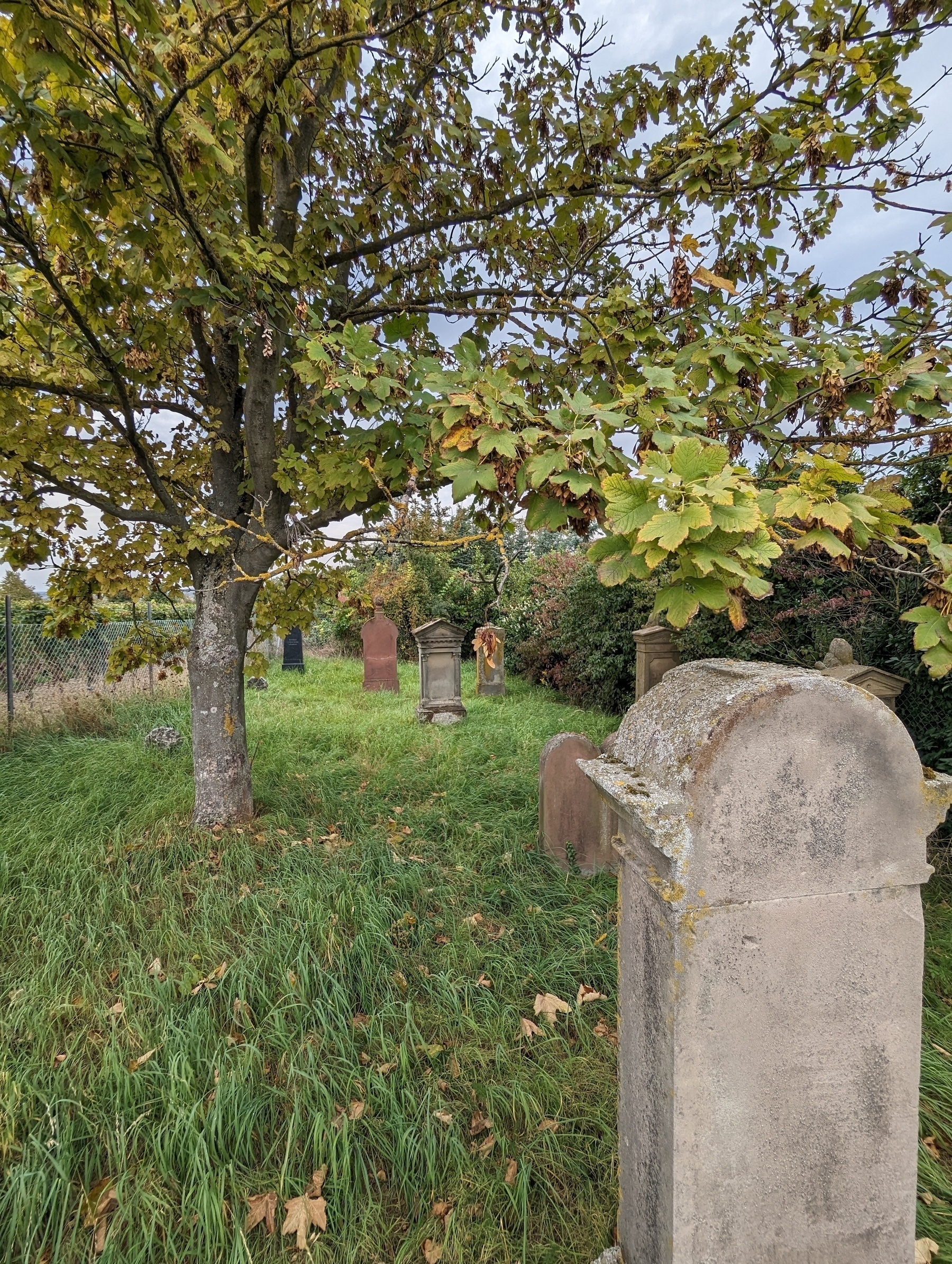 Jüdischer Friedhof Nazarienberg Mommenheim 