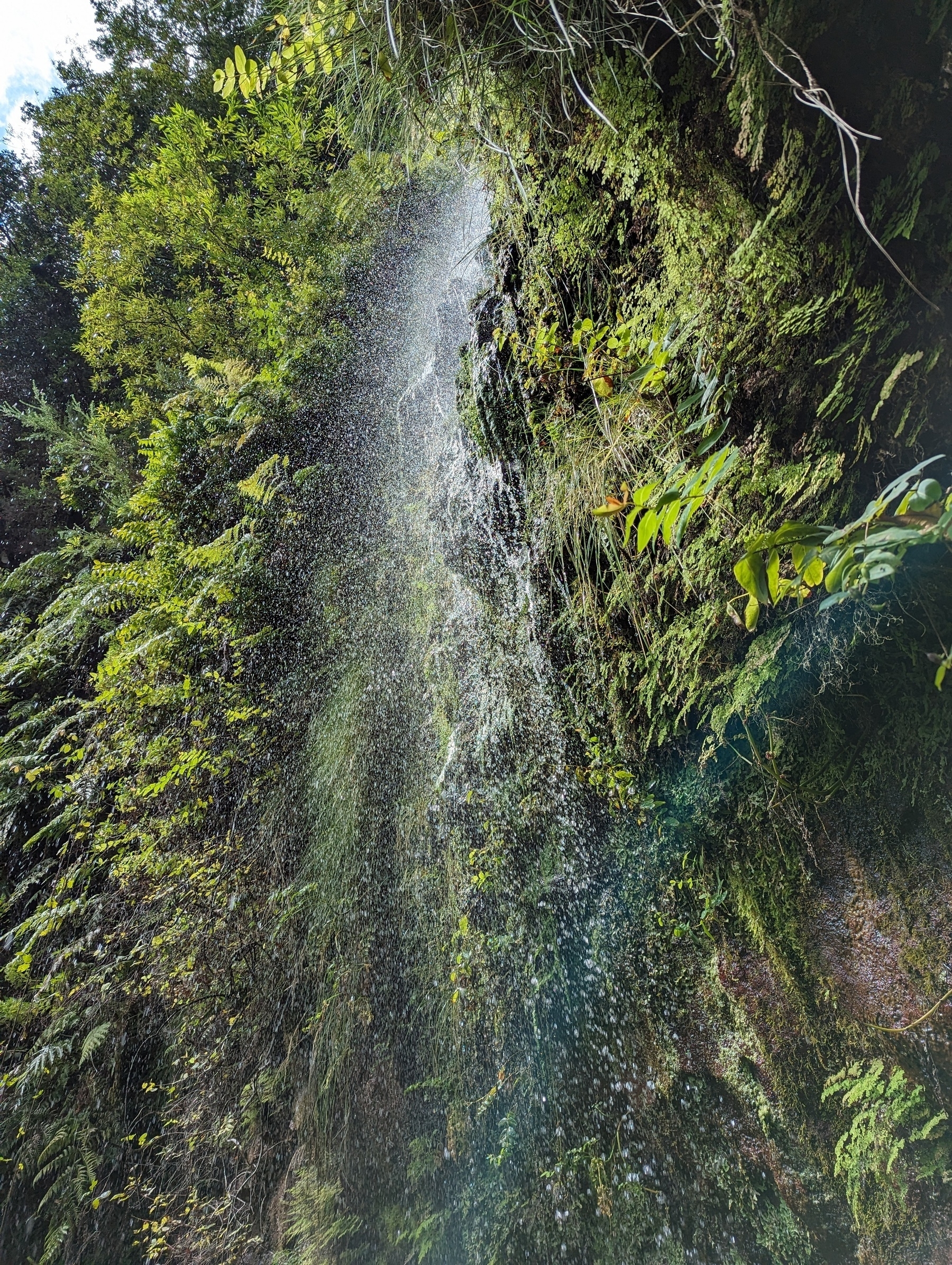 Levada Wasserfall
