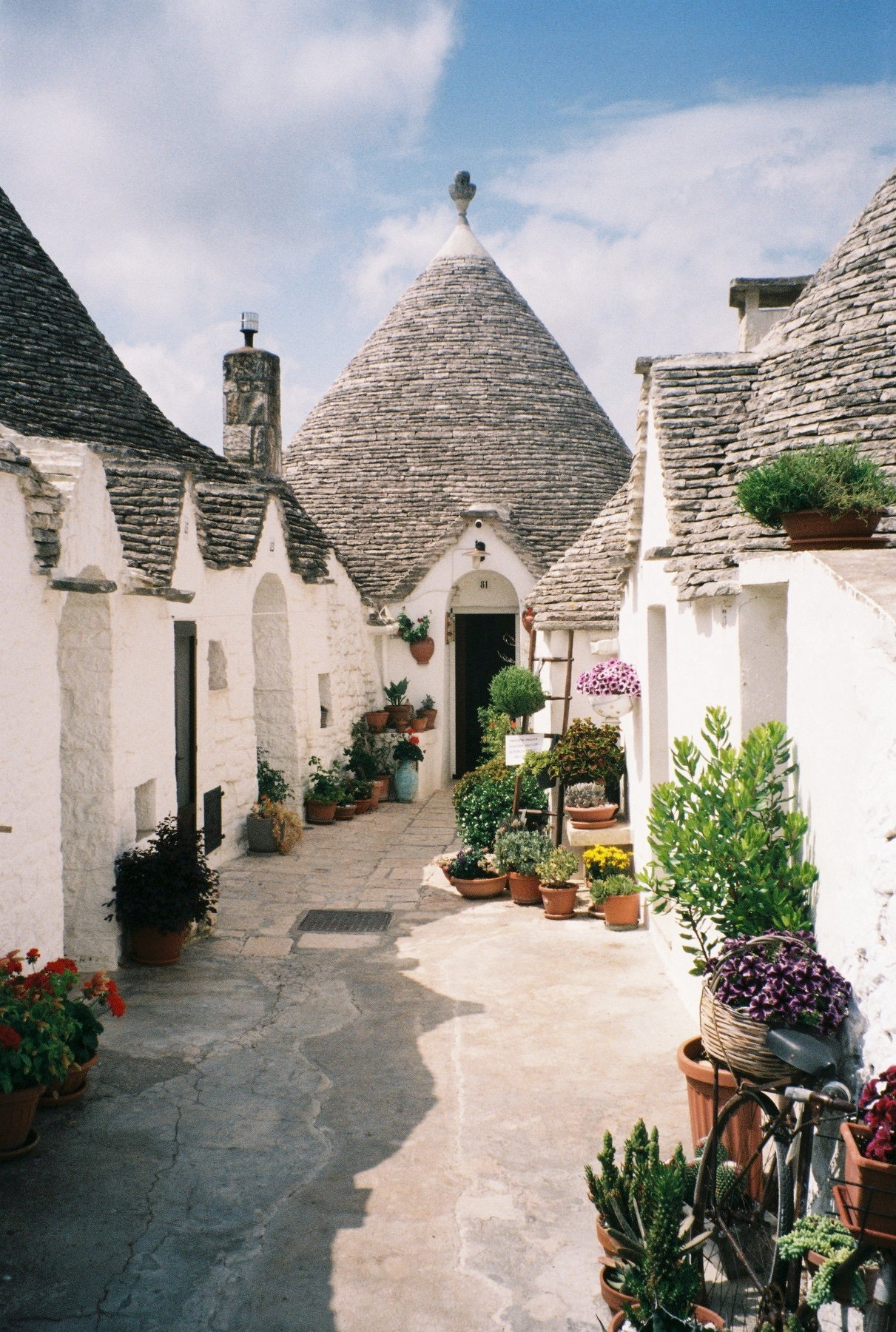Auto-generated description: Une ruelle pittoresque bordée de maisons blanches traditionnelles au toit conique en pierre avec de nombreuses plantes en pot décorant le chemin.