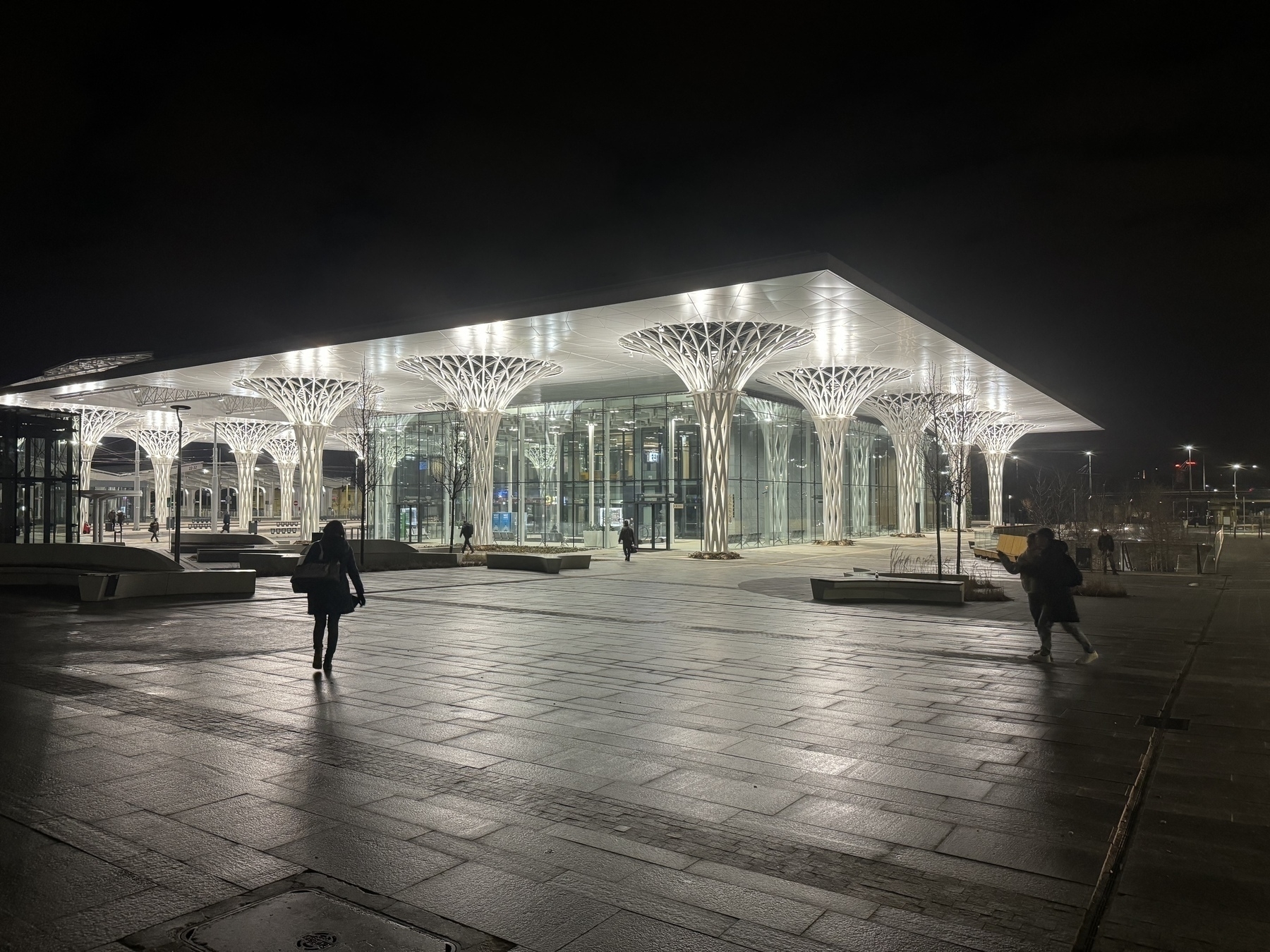 The central Lublin bus station. With pillars that look like tree branches. 
