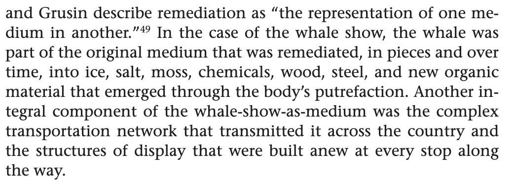and Grusin describe remediation as the representation of one medium in another. case whale show was part original that remediated pieces and over time into ice salt moss chemicals wood steel new organic material emerged through body putrefaction. another integral component whale-show-as-medium complex transportation network transmitted it across country structures display were built anew at every stop along way.