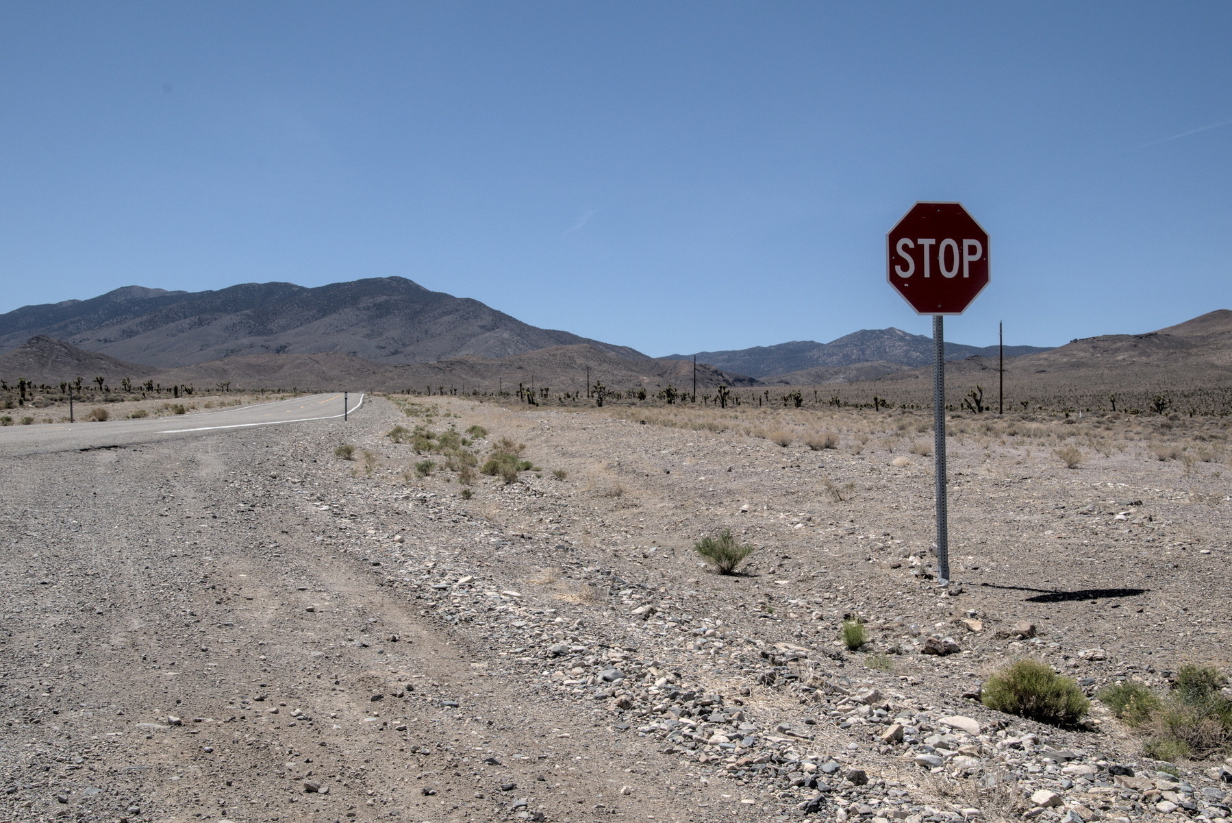 Stop sign in the Nevada desert.