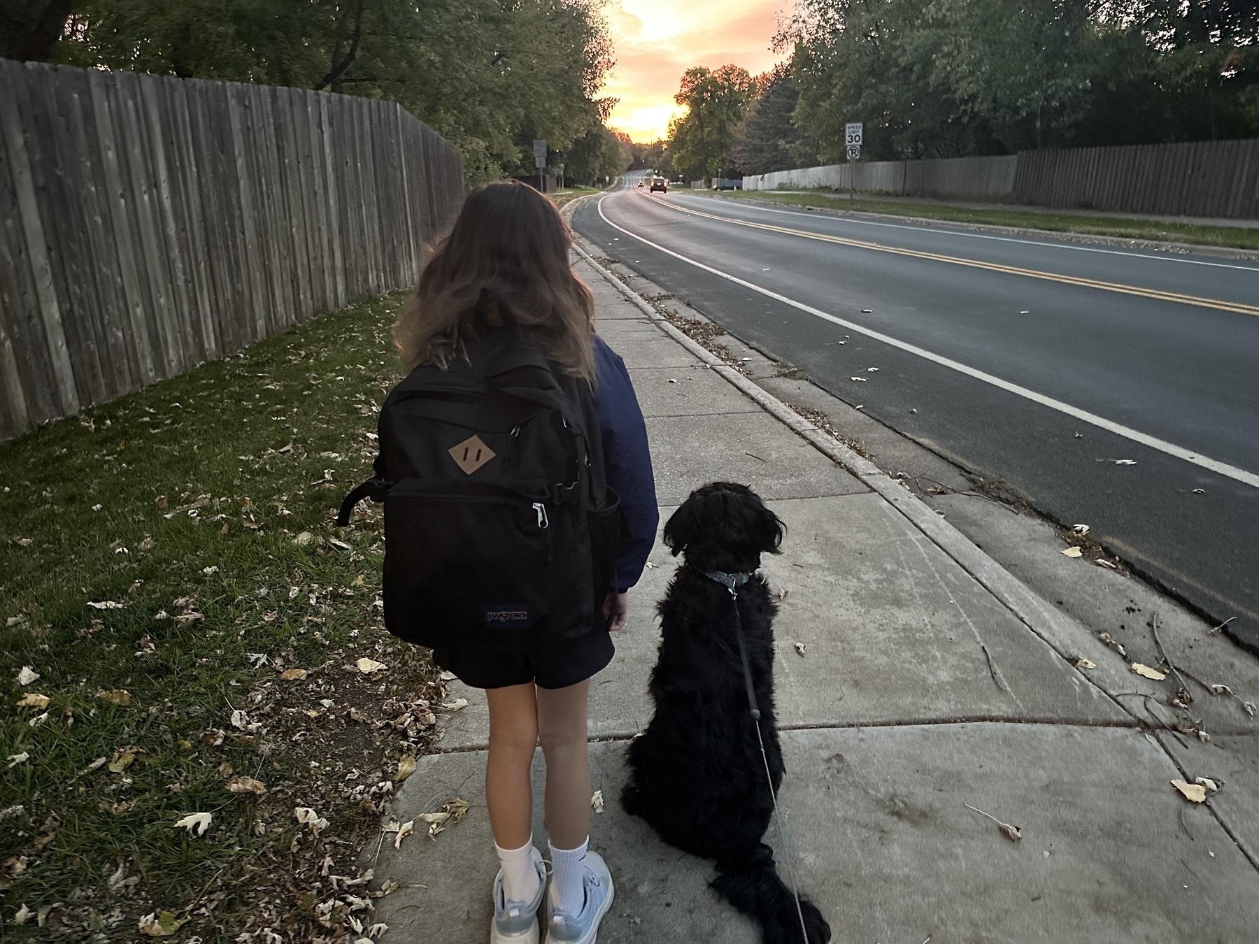 Girl and Dog