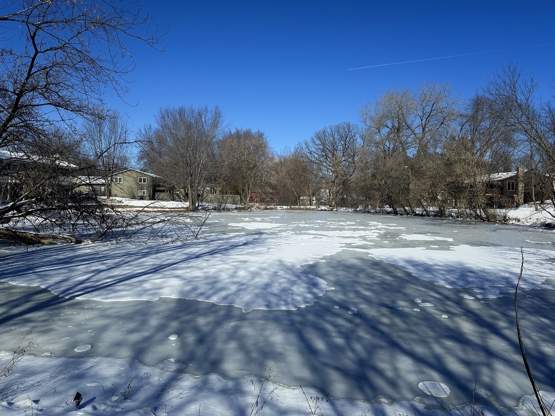 A frozen pond with snow cover sits amidst leafless trees under a clear blue sky, with houses in the background.