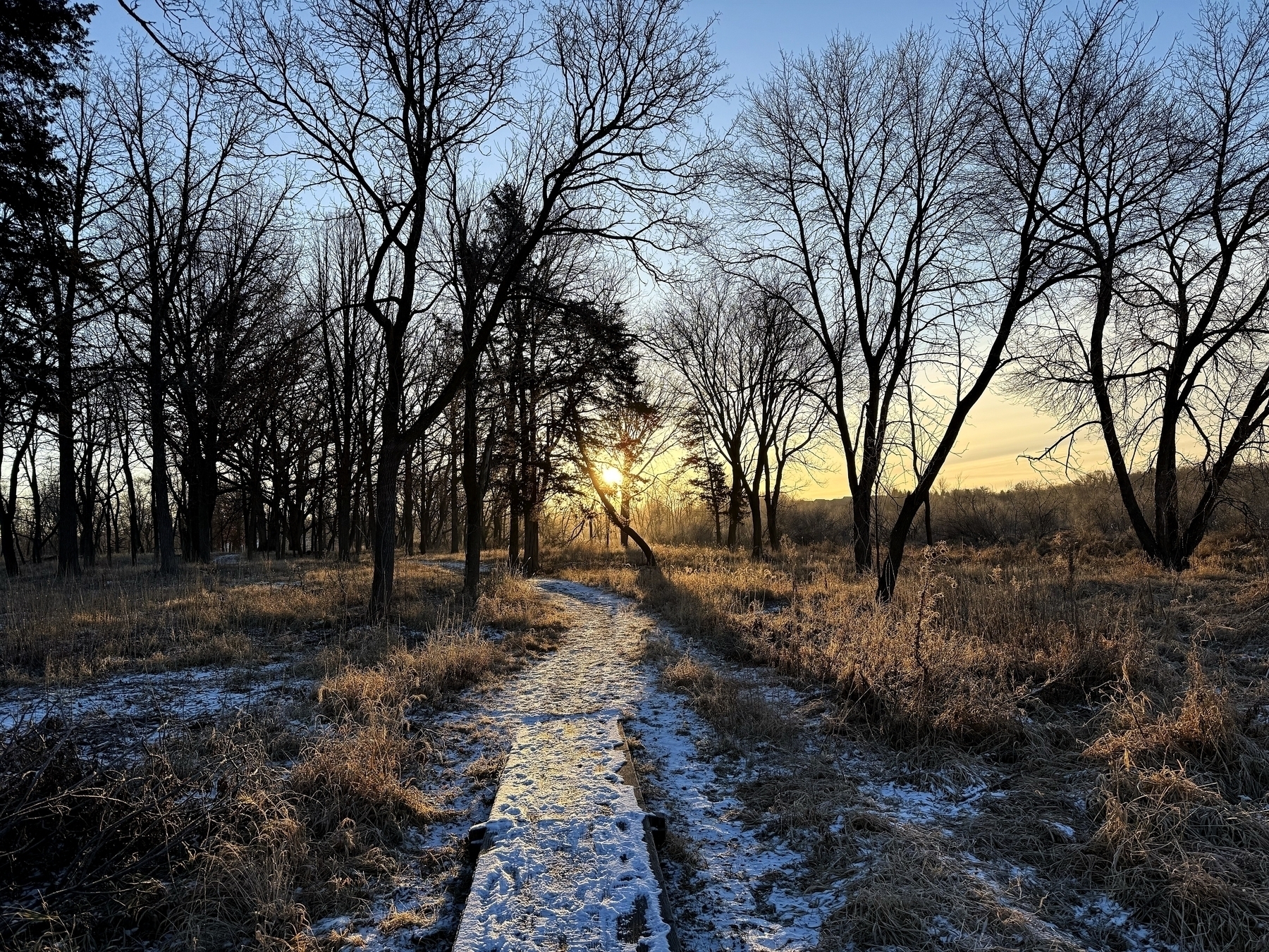 A snow-dusted path winds through leafless trees, with the sun shining brightly on the horizon, casting long shadows in a winter landscape.