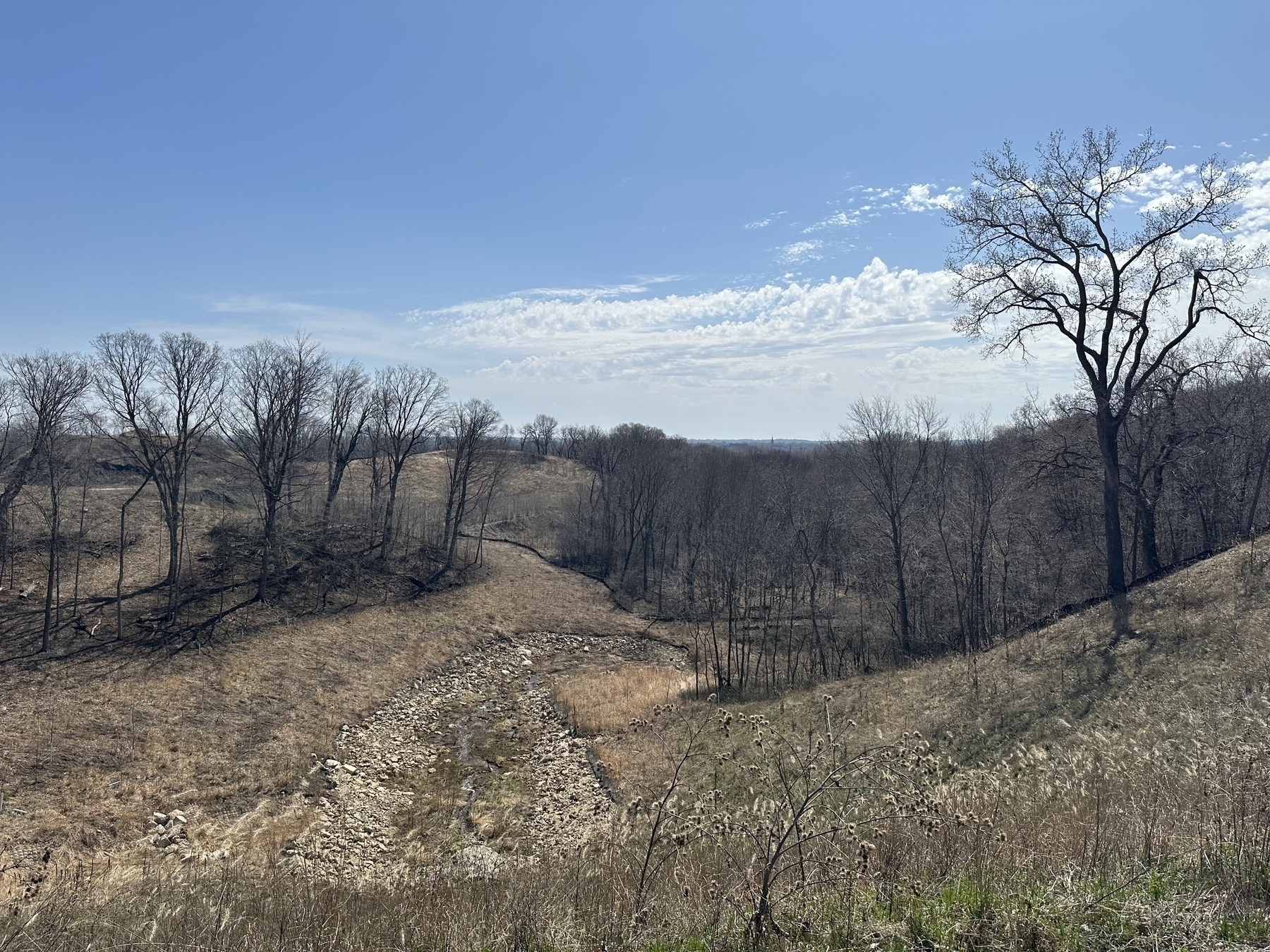 A barren hilly landscape with leafless trees leading down to the river bottoms under a partly cloudy sky.