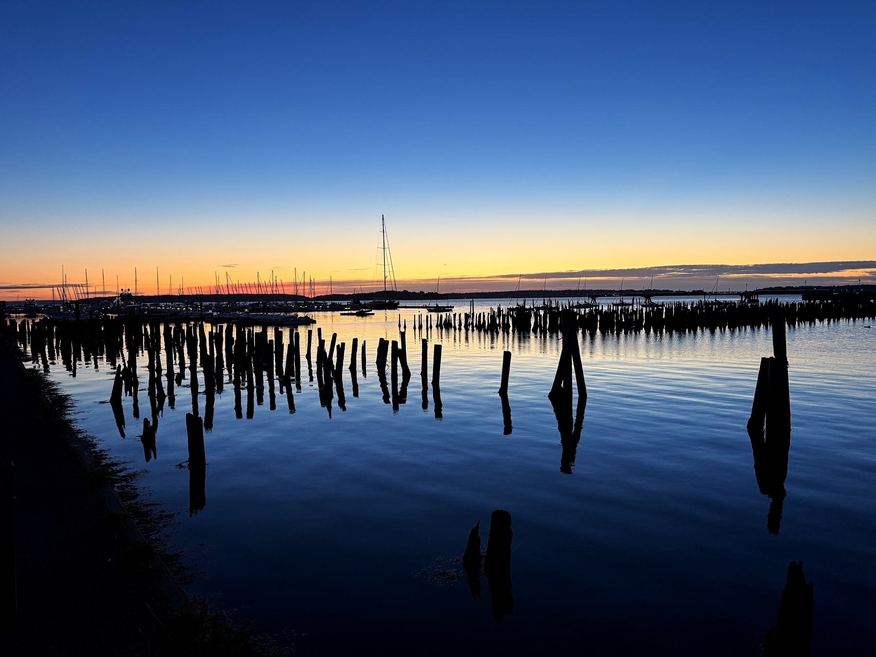 Wooden pilings stand still in calm water at sunset, under a vibrant, clear sky. Sailboats and docks line the distant horizon, reflecting softly on the serene surface.