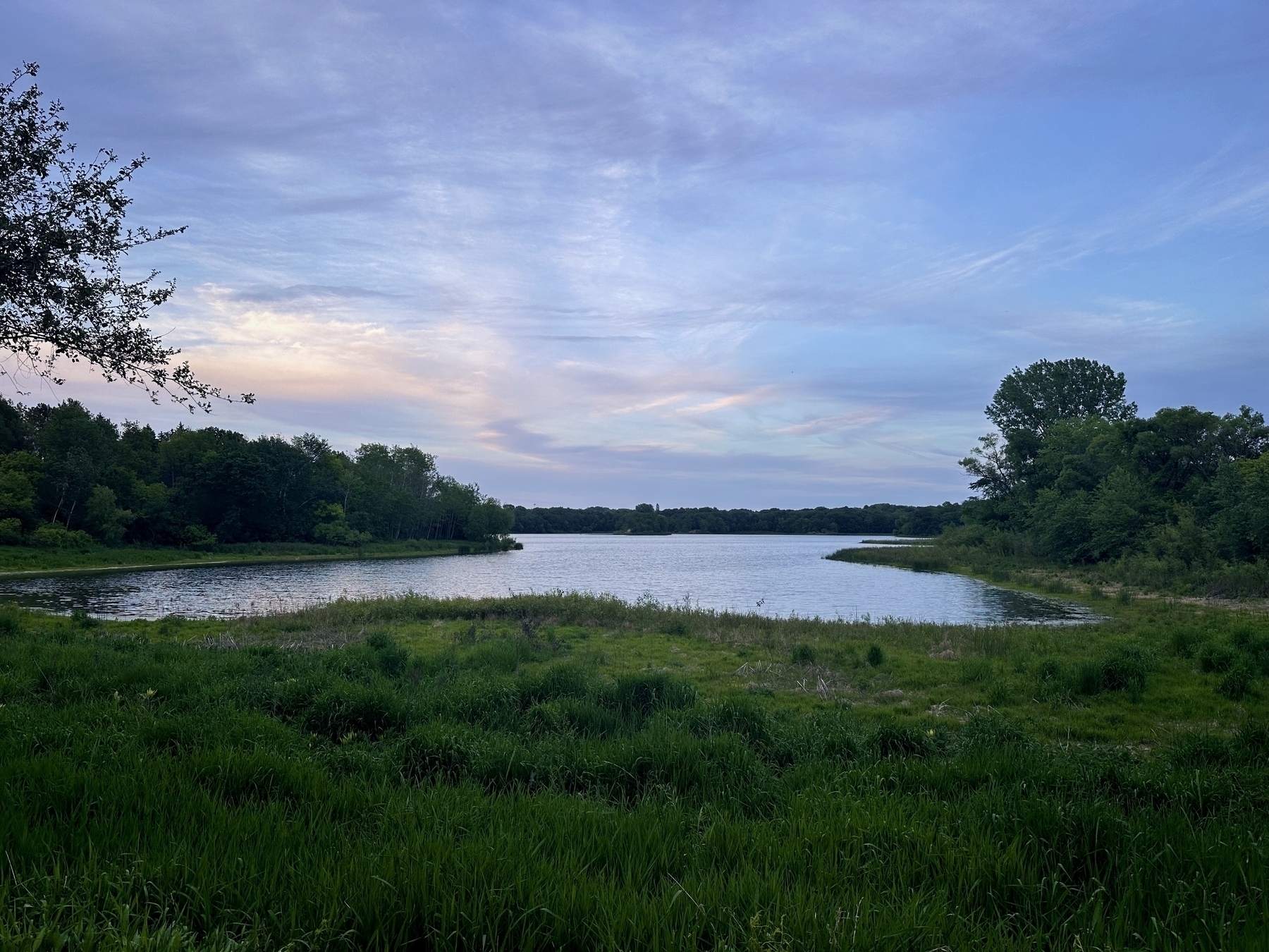 Lake reflecting sky at dusk surrounded by green grass and trees with a calm water surface and a partially cloudy sky above.