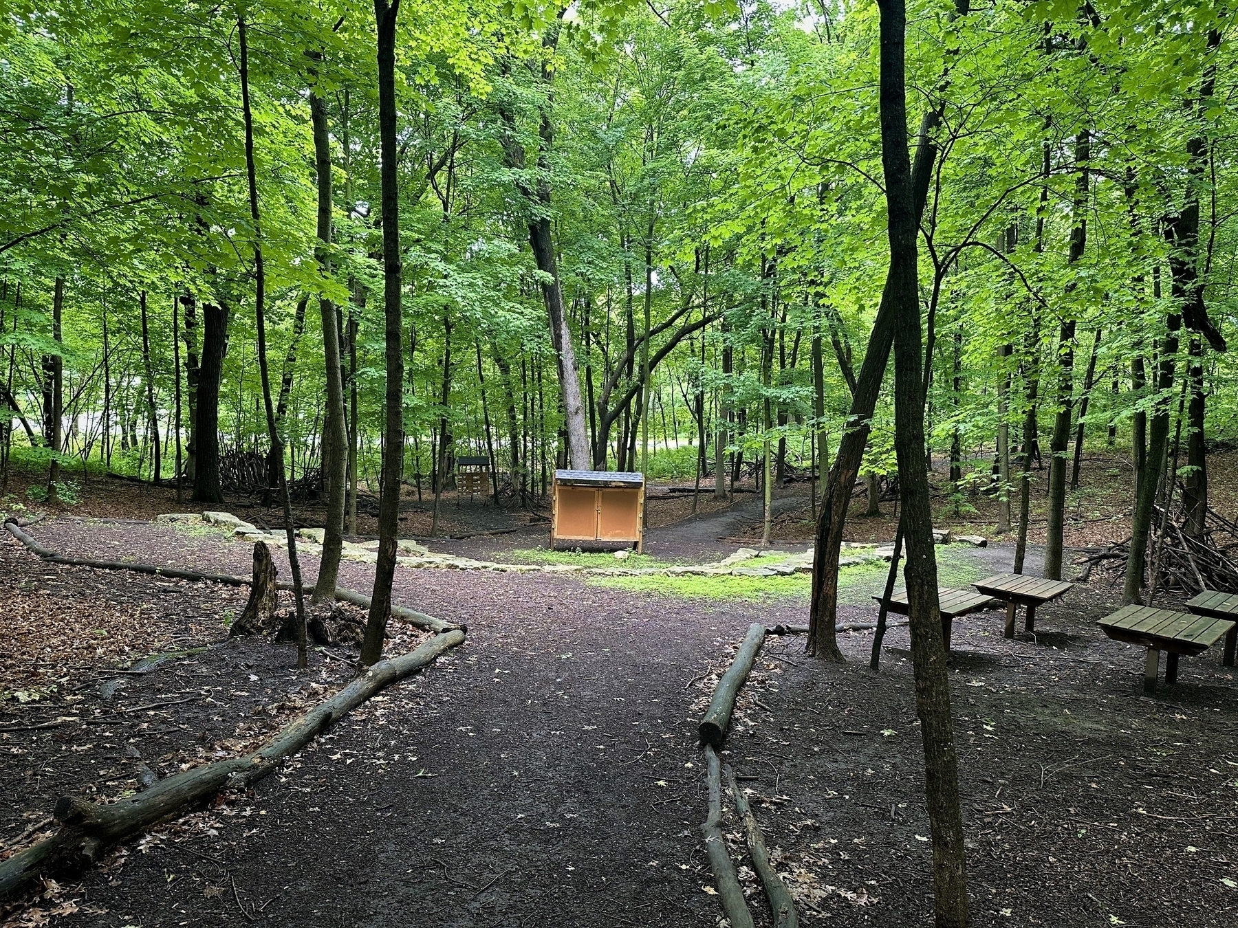 Small wooden structure standing amidst dense green trees with two picnic tables nearby on a dirt pathway in a forest setting