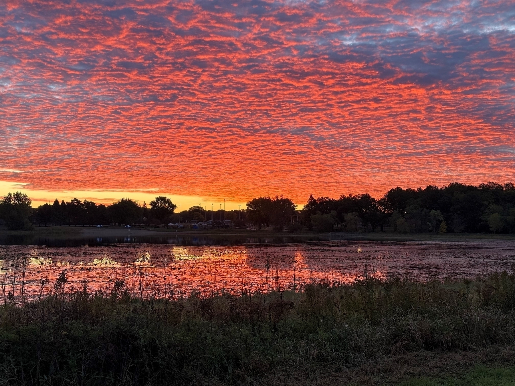 Vivid orange clouds illuminate a tranquil sunrise over a reflective lake, surrounded by silhouetted trees and grassy foreground, creating a serene and picturesque landscape.