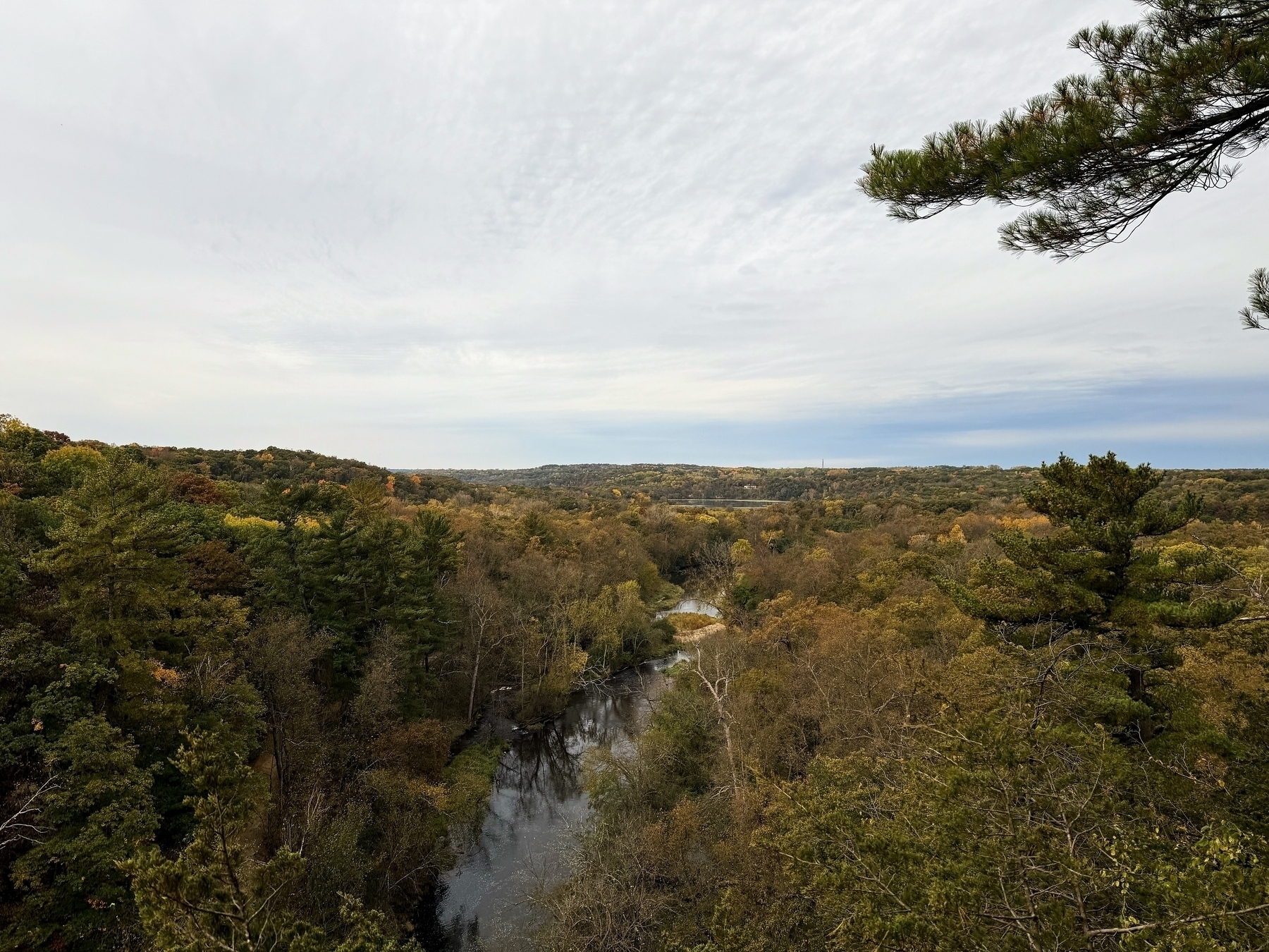 A scenic view of a lush forest landscape surrounding a winding river under a cloudy sky.