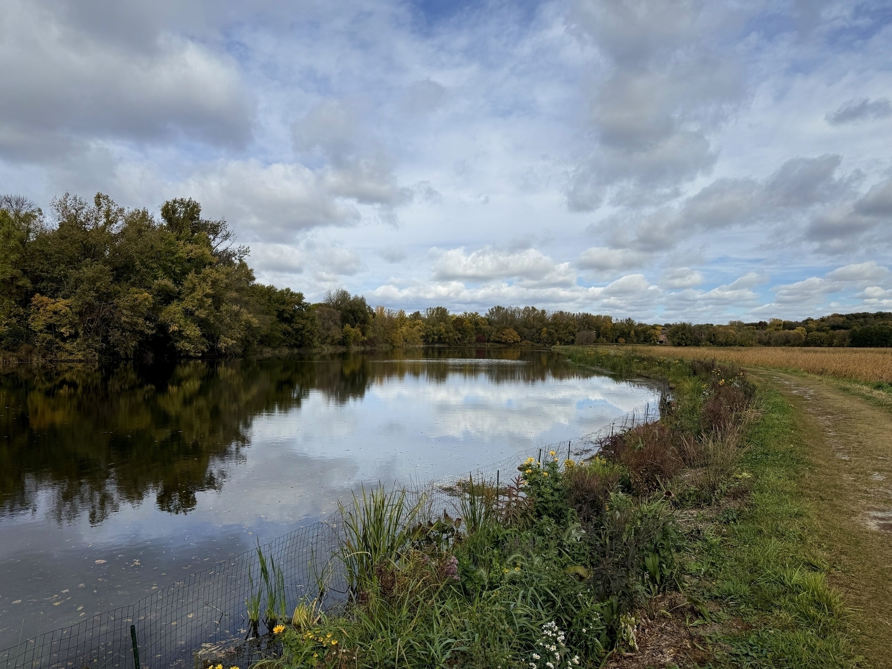 Lake reflects sky and trees; surrounded by lush foliage. A dirt path runs parallel to the water, bordered by wildflowers and grasses, under a partly cloudy sky.