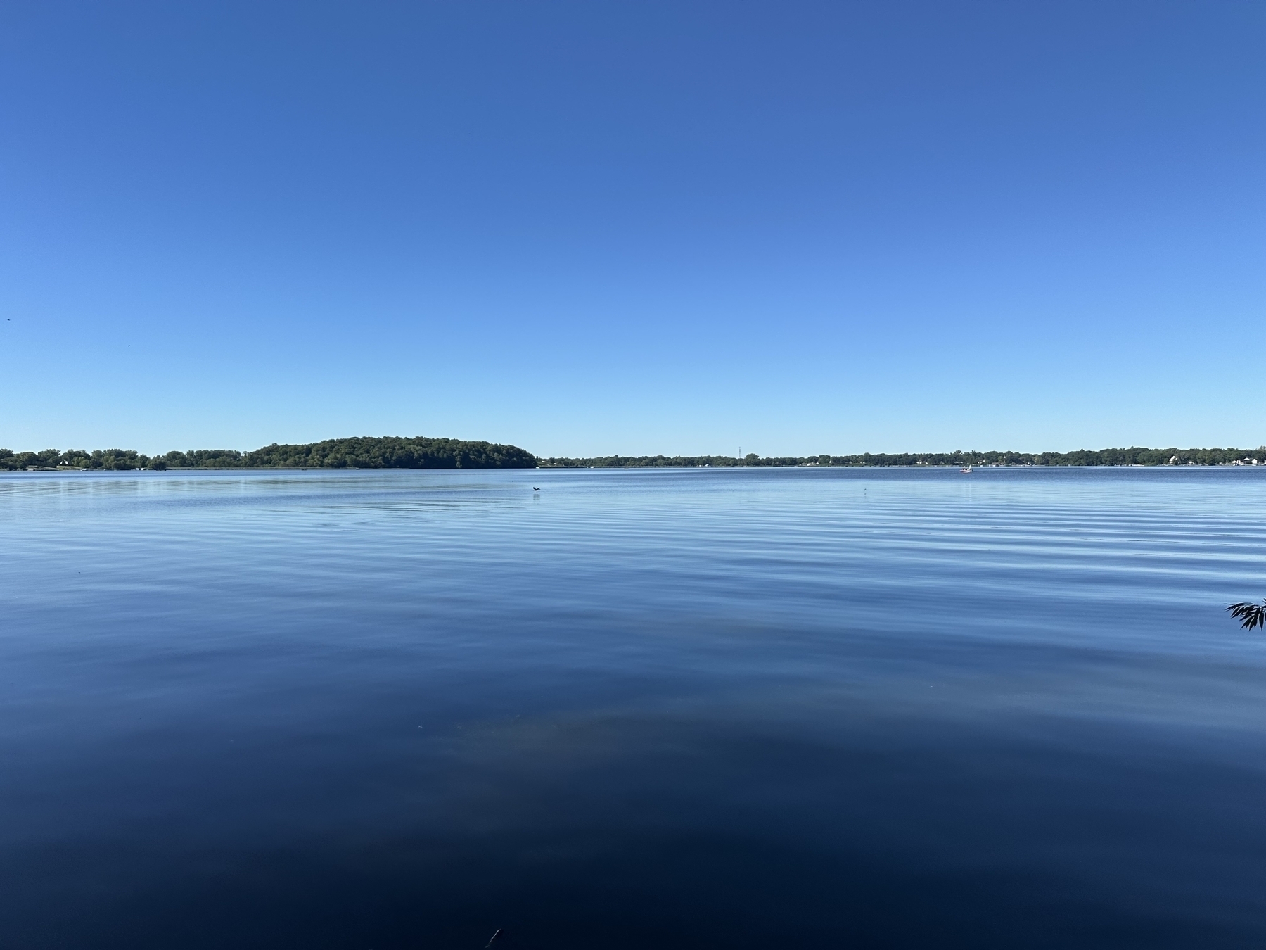 Calm water reflecting clear blue sky with a distant tree-lined shore across the horizon