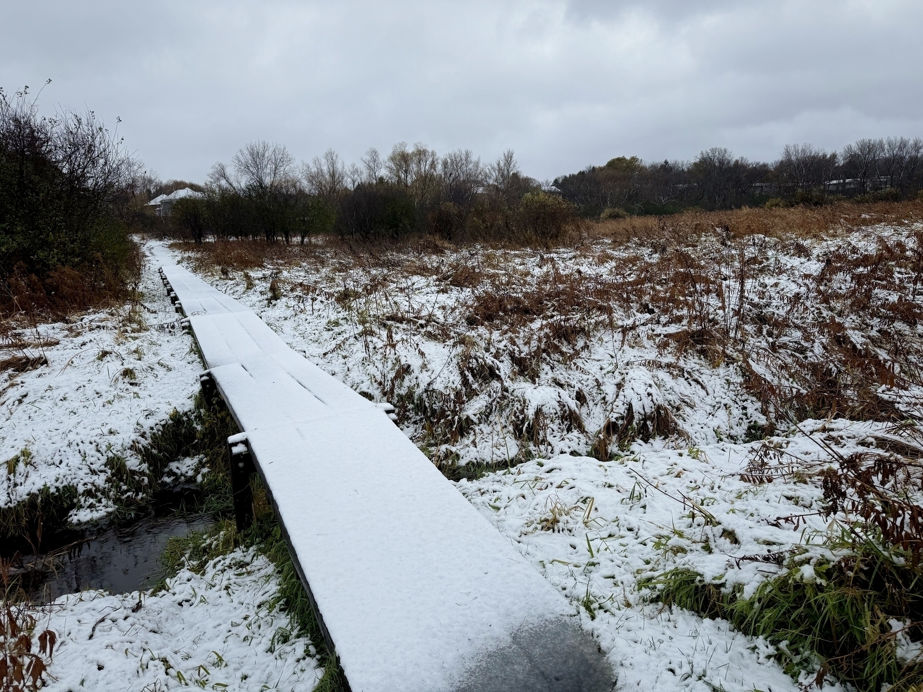 A wooden boardwalk, covered in snow, stretches across a snowy field surrounded by bare trees under a cloudy sky.