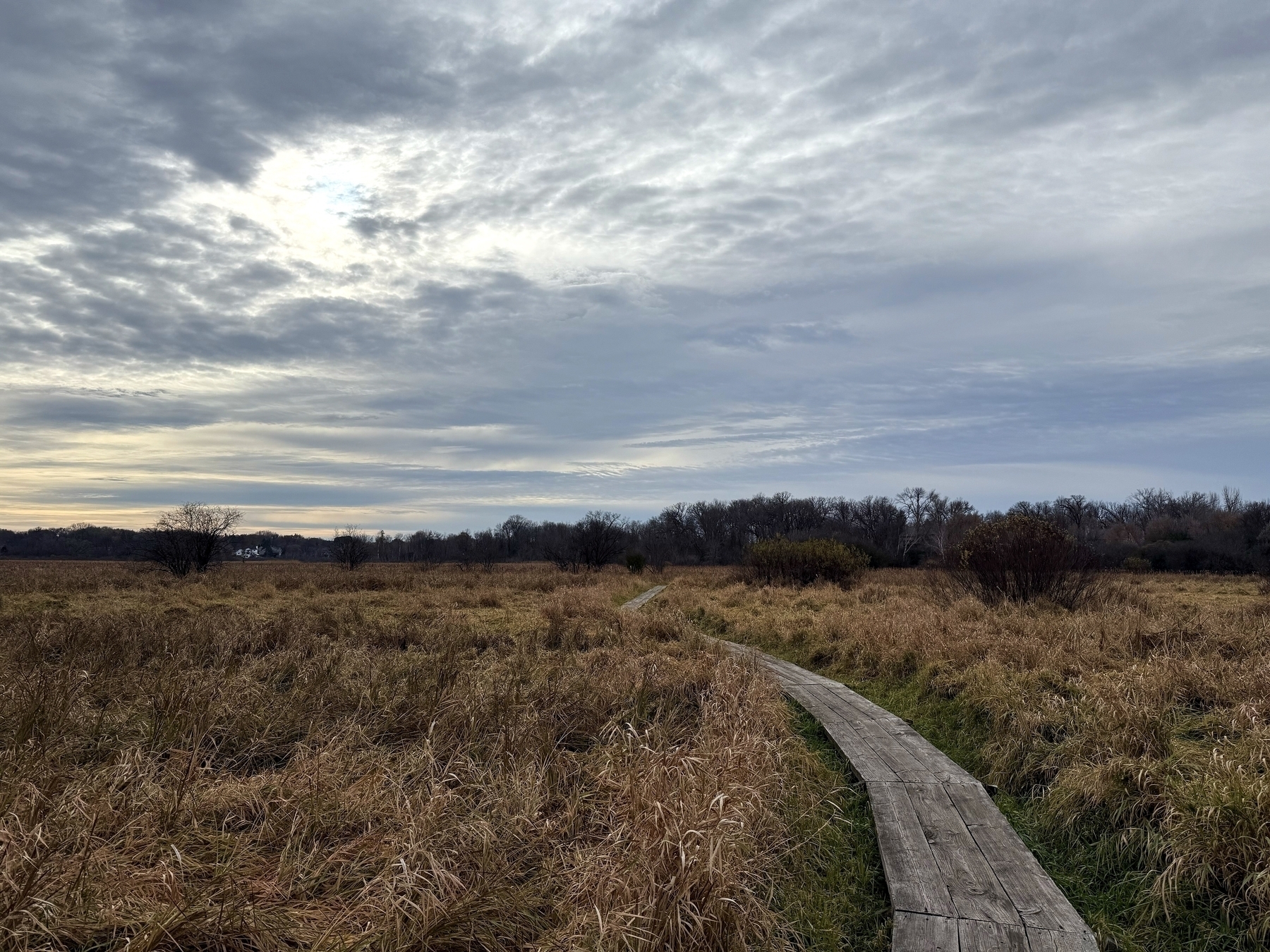 Wooden boardwalk stretches through an open field of dry grass, bordered by sparse trees, under a cloudy, overcast sky.