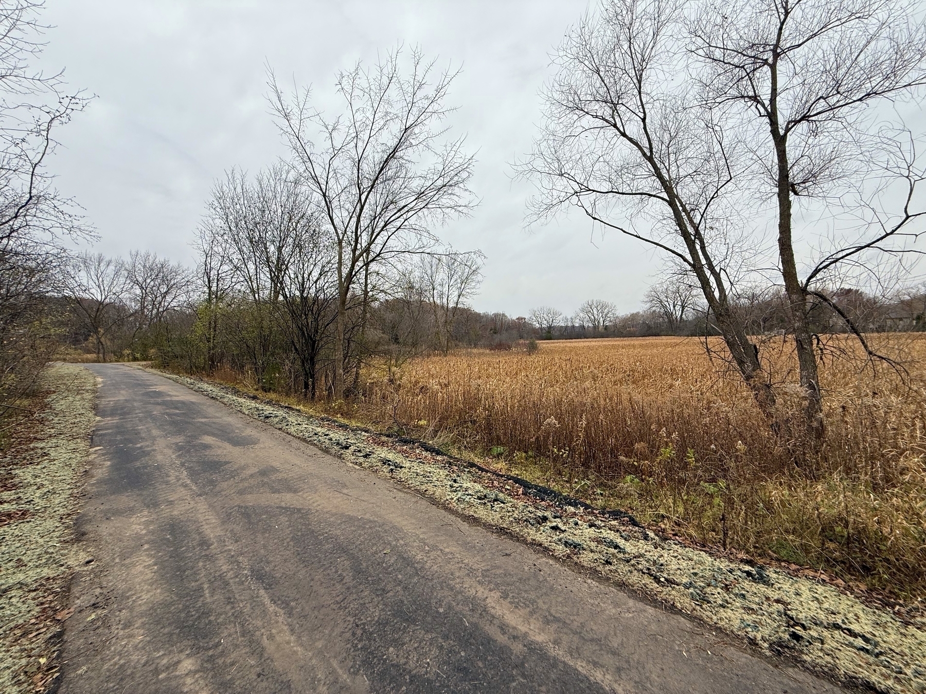 A narrow road curves through a leafless, late-autumn landscape, bordered by barren trees and golden fields under an overcast sky, evoking a quiet, desolate atmosphere.