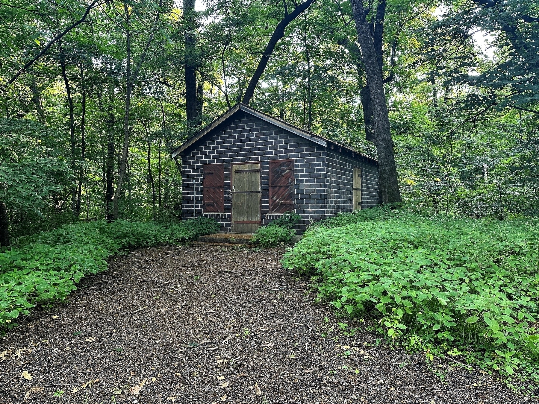 A small stone cabin with wooden doors stands amidst a dense forest surrounded by lush green foliage and a dirt path leading to it.
